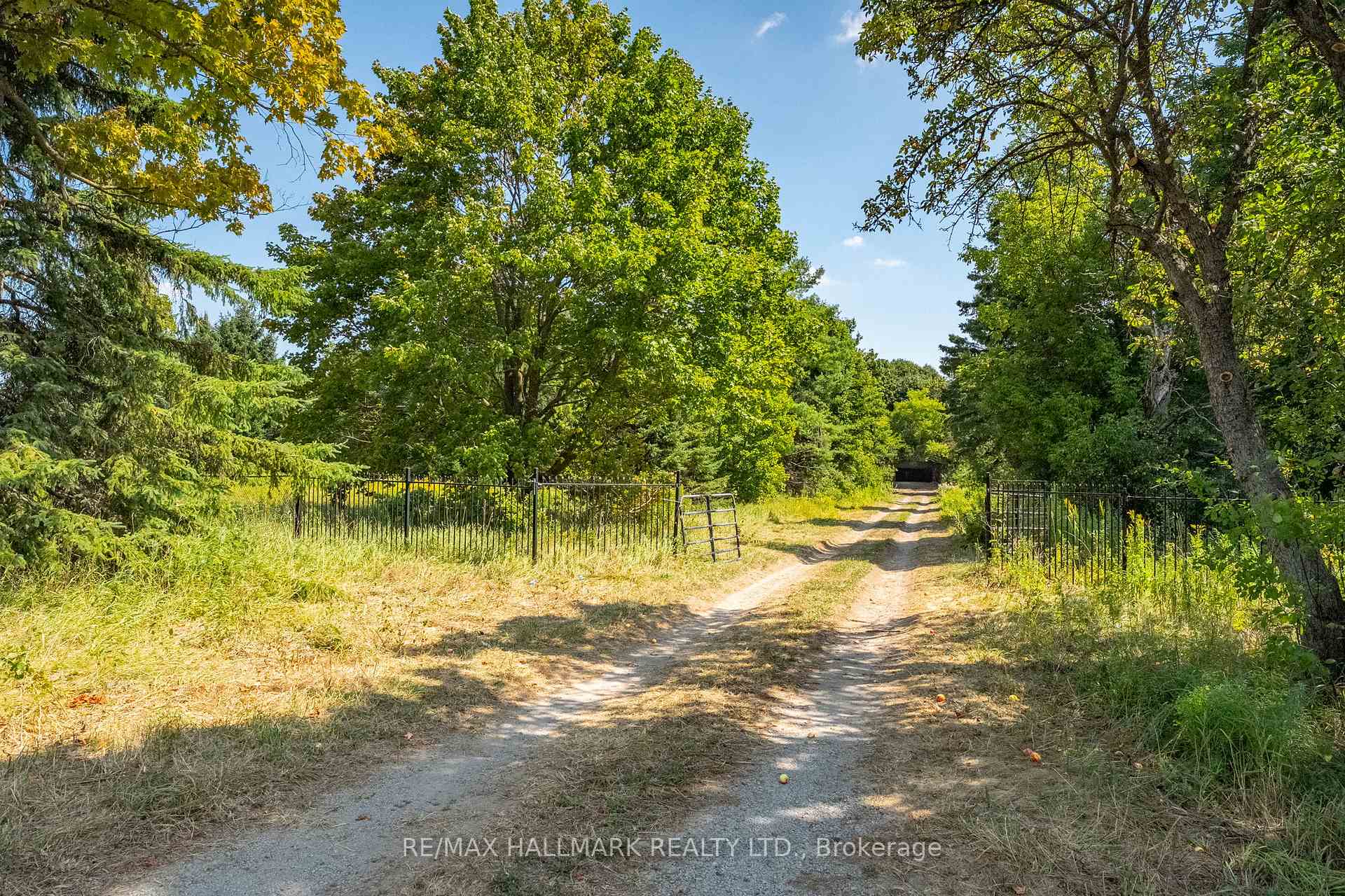 Photo 23 of 23895 Mccowan Road, Georgina, Baldwin — HOMEH