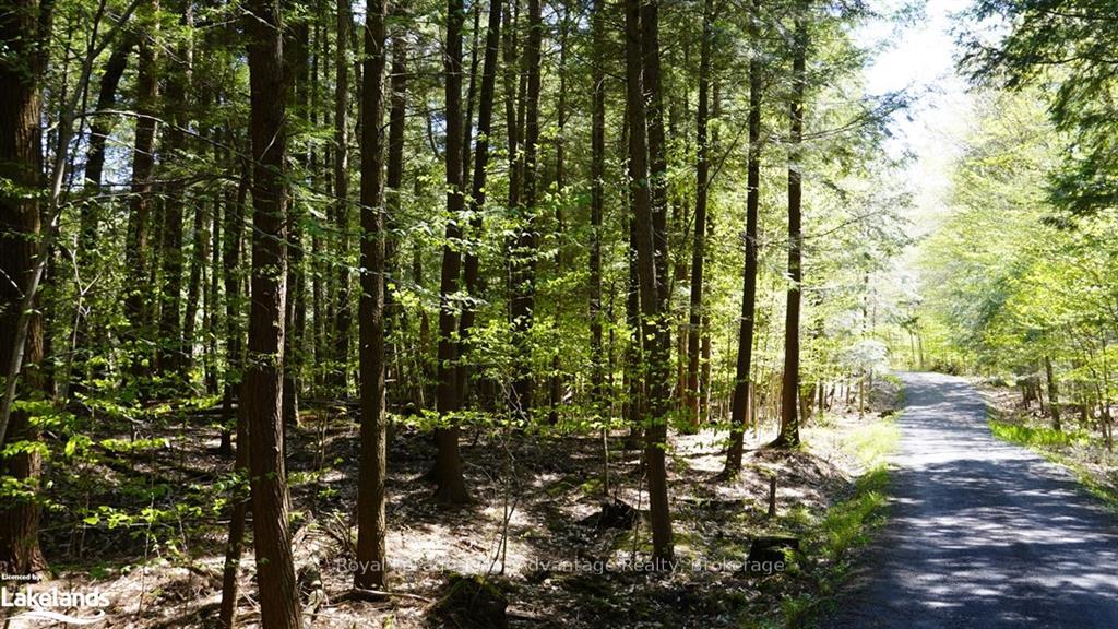 Photo 13 of 5 Curran Trail, Carling — HOMEH
