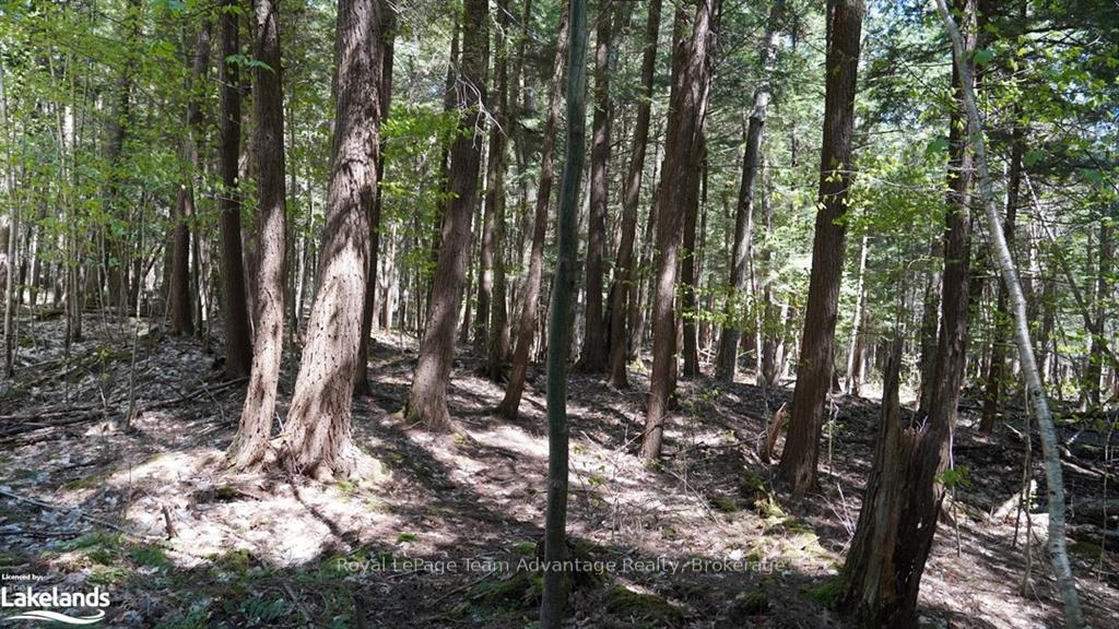 Photo 14 of 5 Curran Trail, Carling — HOMEH