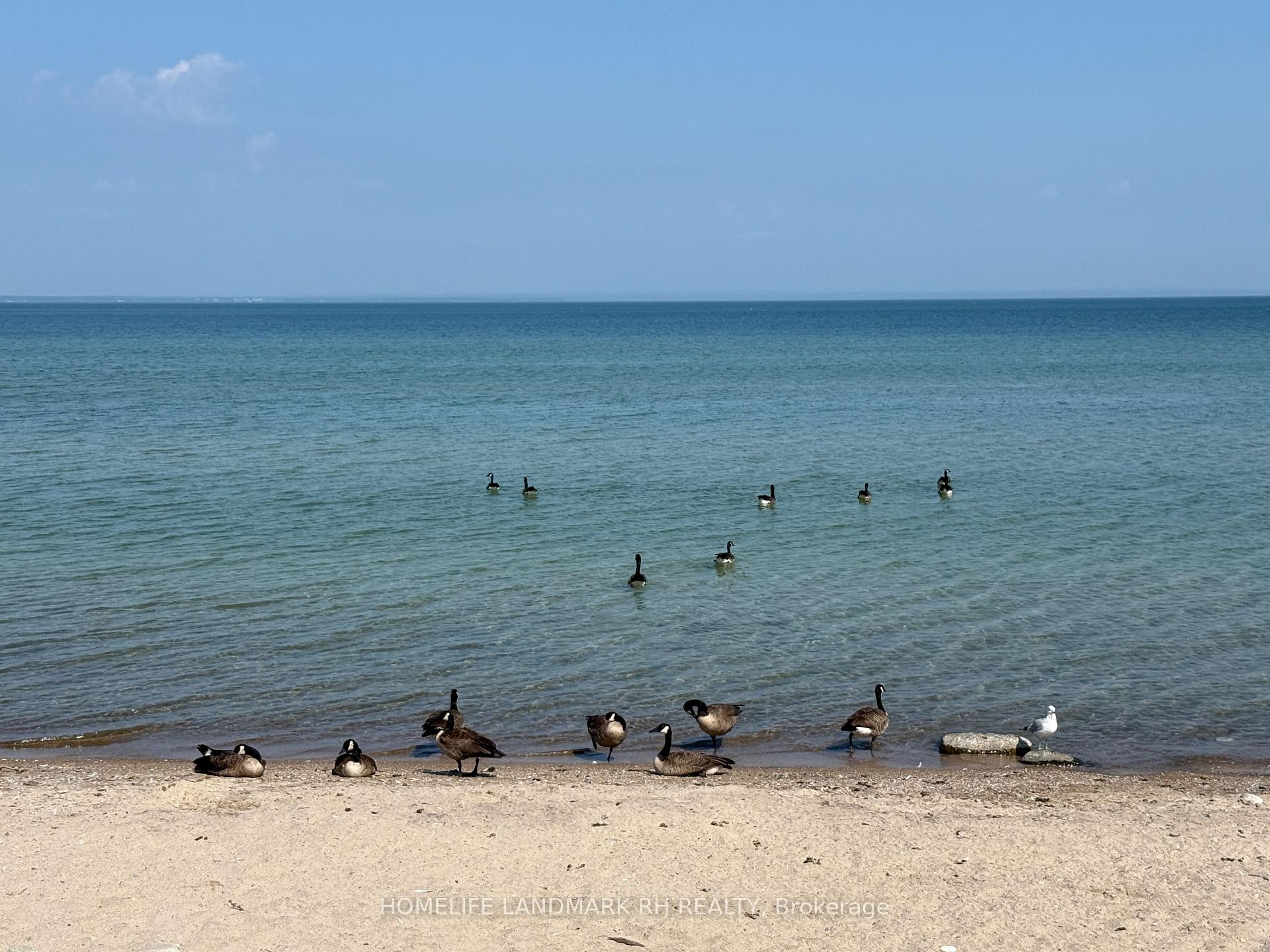 Photo 28 of 795 Third Avenue, Georgina, Historic Lakeshore Communities — HOMEH