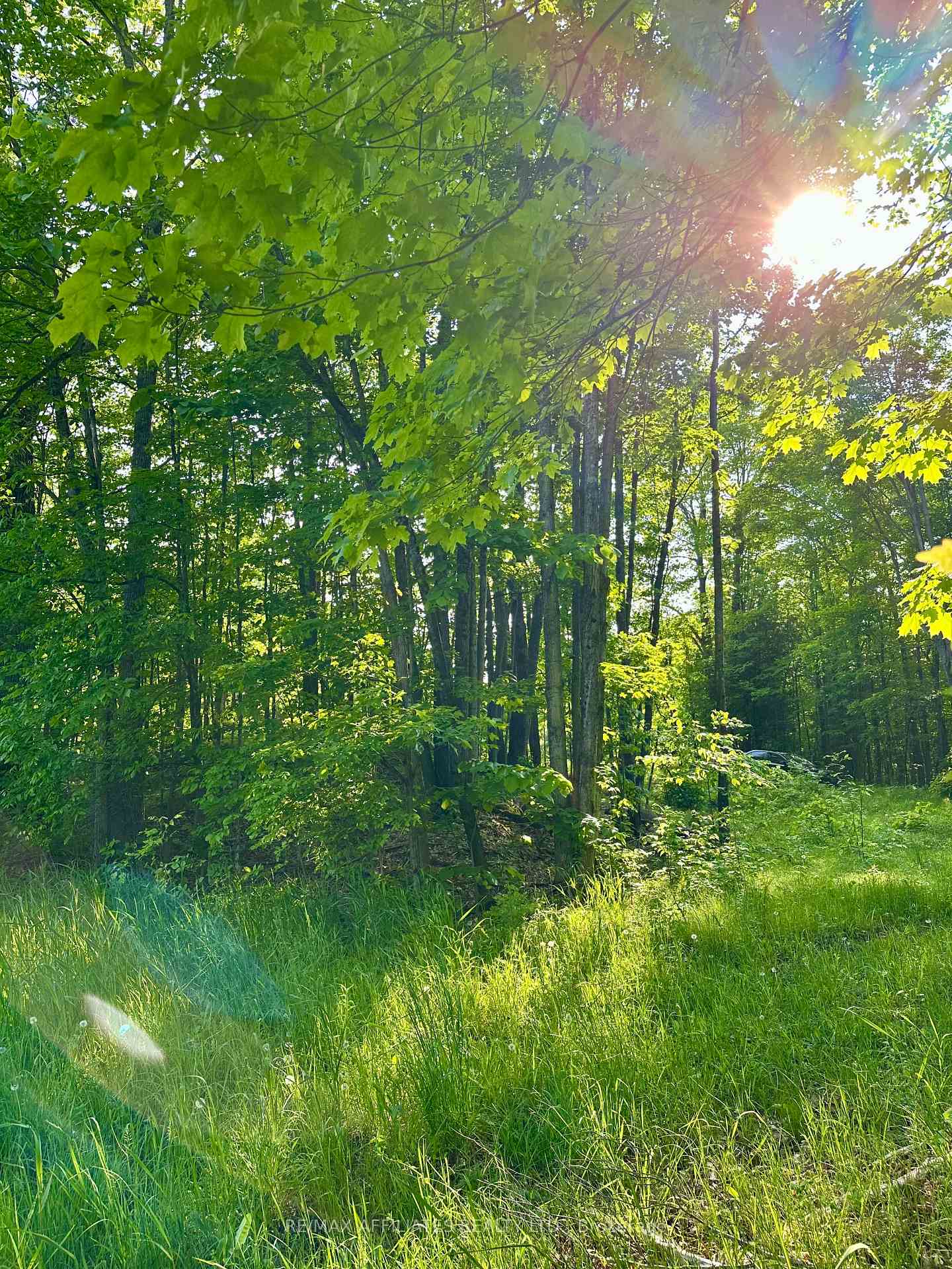 Photo 20 of 00 Long Lake Road, Central Frontenac, Frontenac Centre — HOMEH