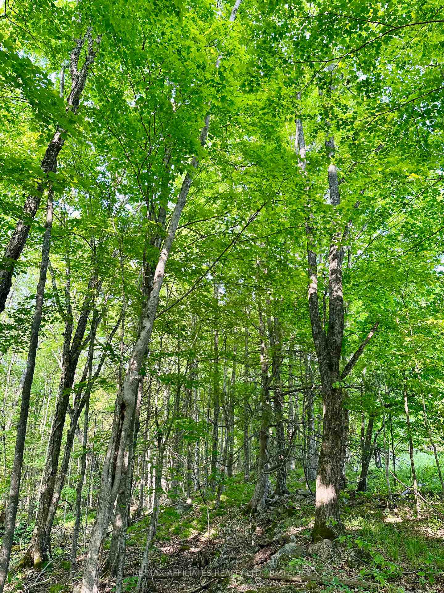 Photo 21 of 00 Long Lake Road, Central Frontenac, Frontenac Centre — HOMEH