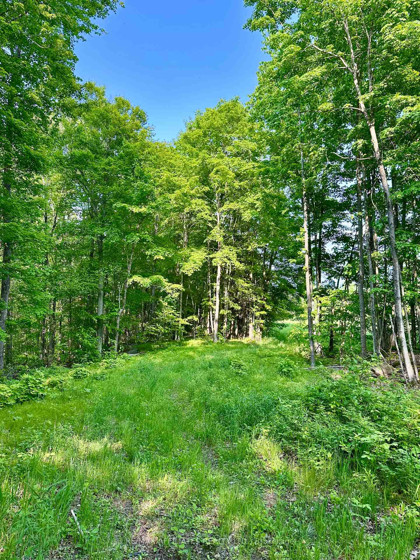 Photo 30 of 00 Long Lake Road, Central Frontenac, Frontenac Centre — HOMEH