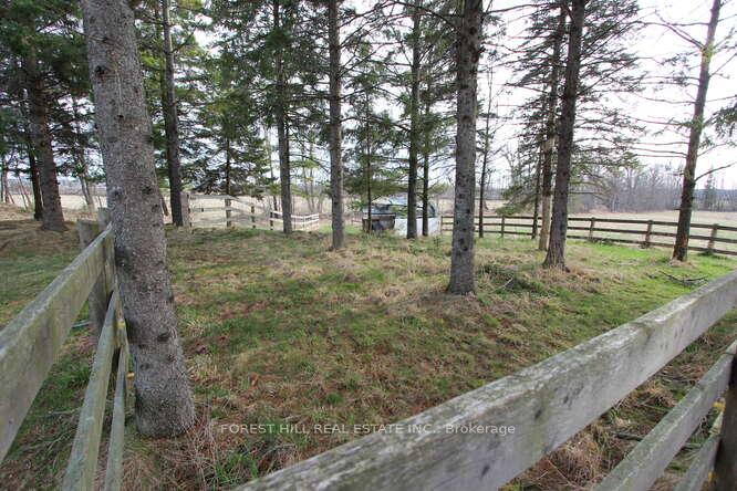 Photo 25 of 346 County Rd 40, Douro-Dummer — HOMEH
