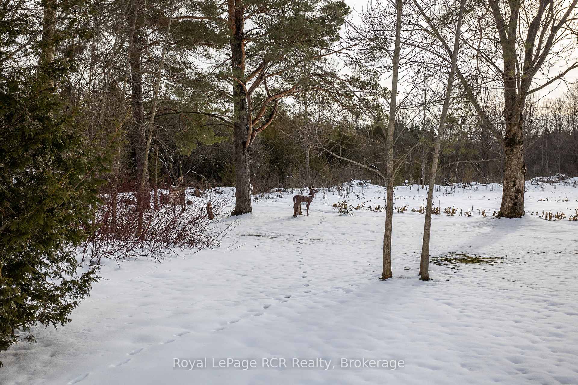 Photo 28 of 206 Crawford Road, Chatsworth — HOMEH
