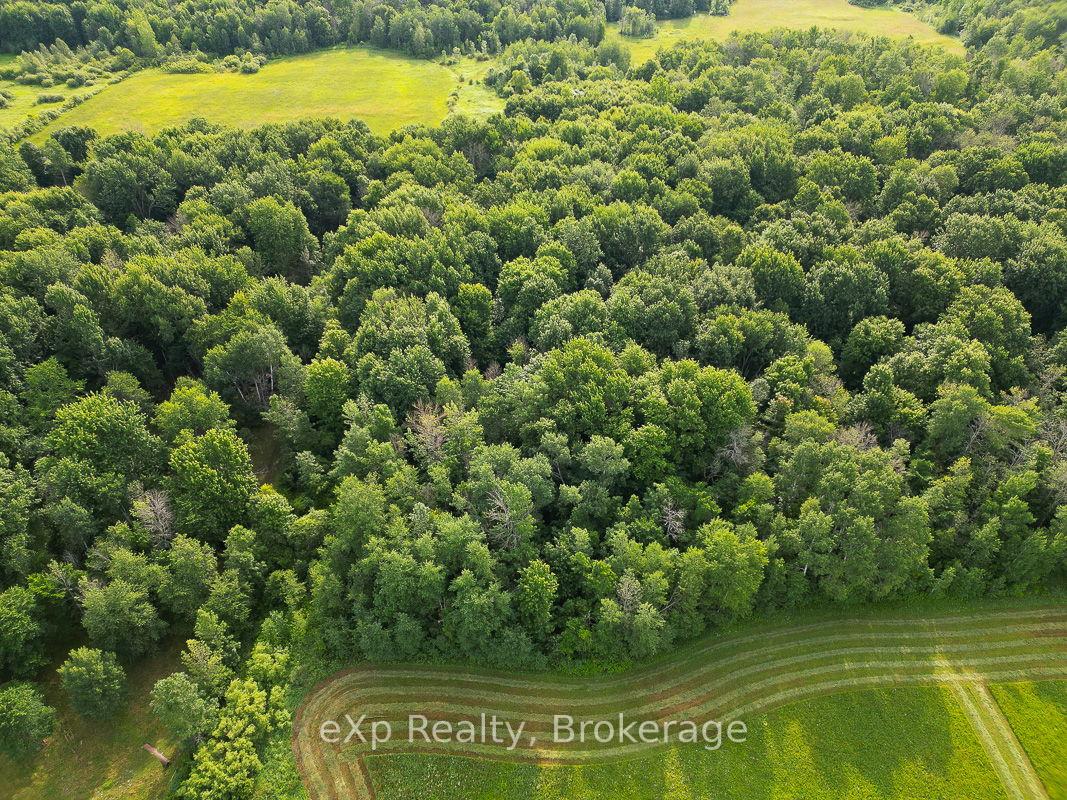 Photo 43 of 156639 Concession 7A, Chatsworth — HOMEH