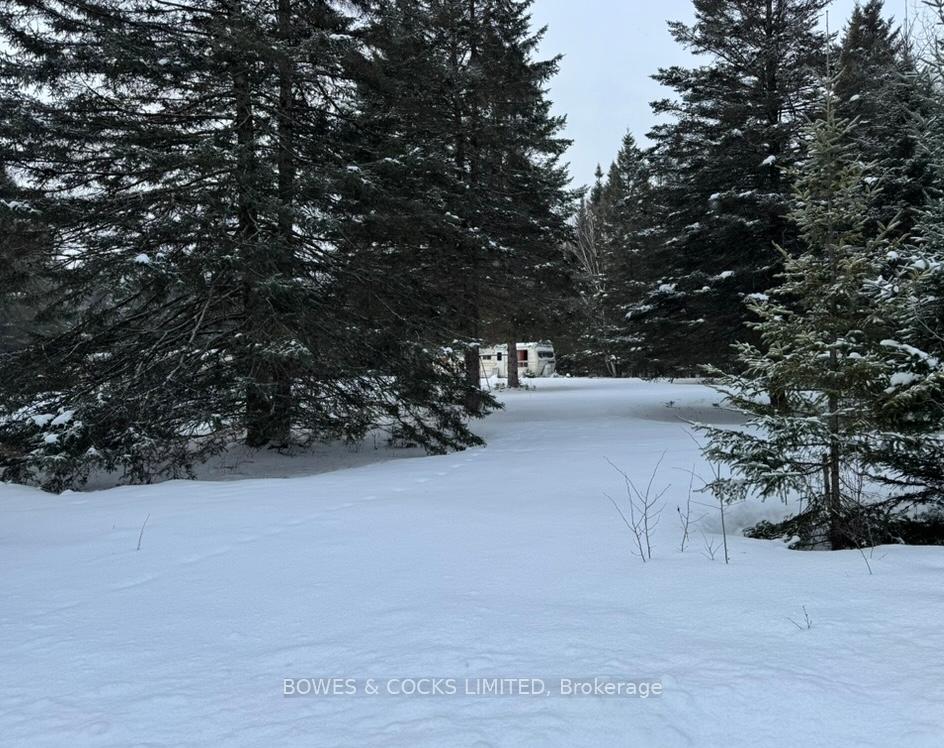 Photo 1 of 793 Cameron Road, Faraday — HOMEH