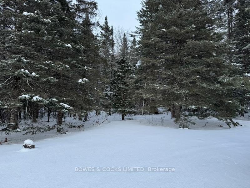 Photo 2 of 793 Cameron Road, Faraday — HOMEH