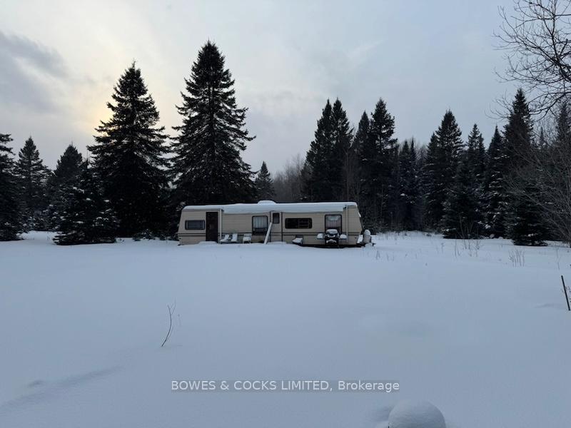 Photo 5 of 793 Cameron Road, Faraday — HOMEH
