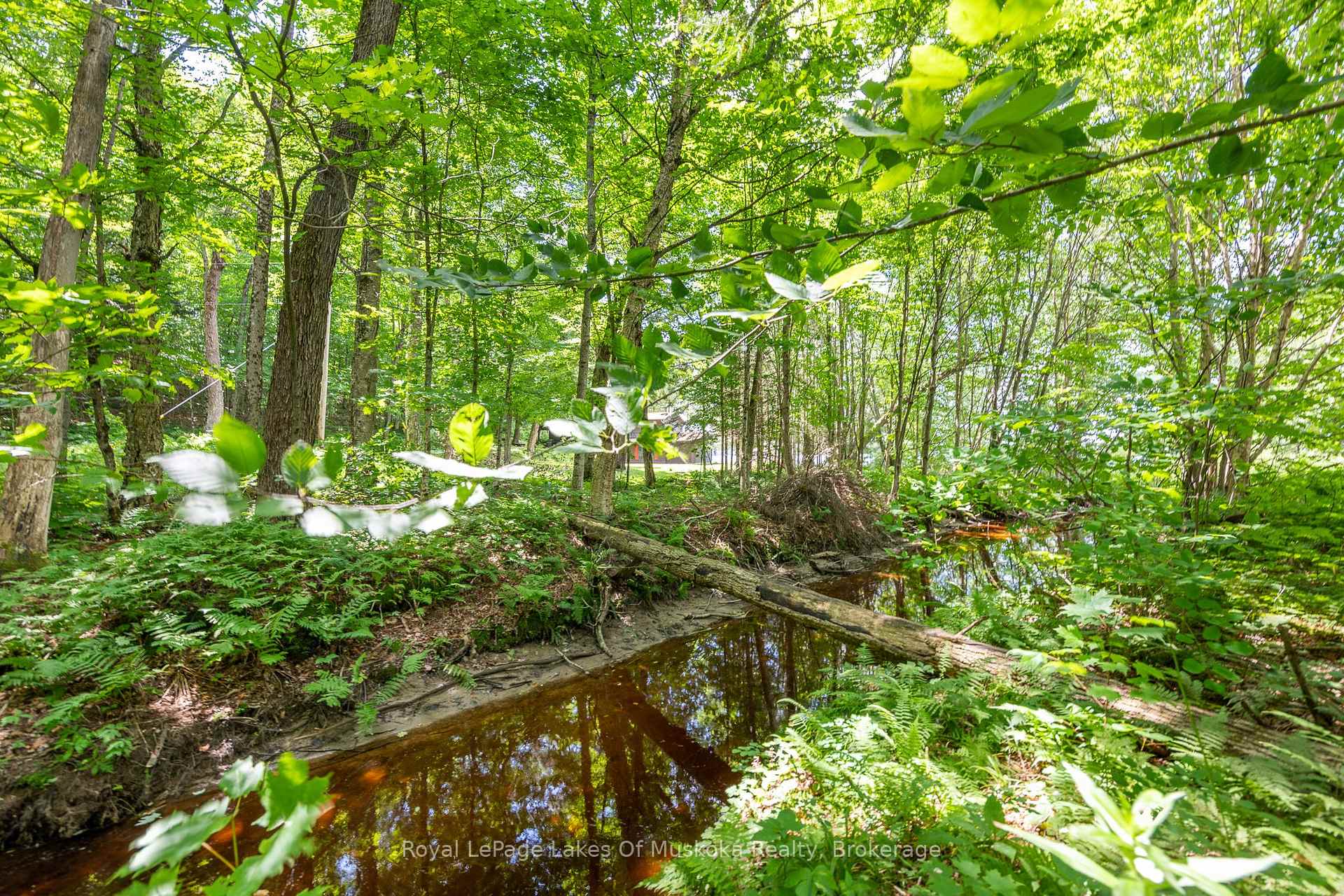 Photo 34 of 226 Chikopi Road, Magnetawan, Ahmic Harbour — HOMEH