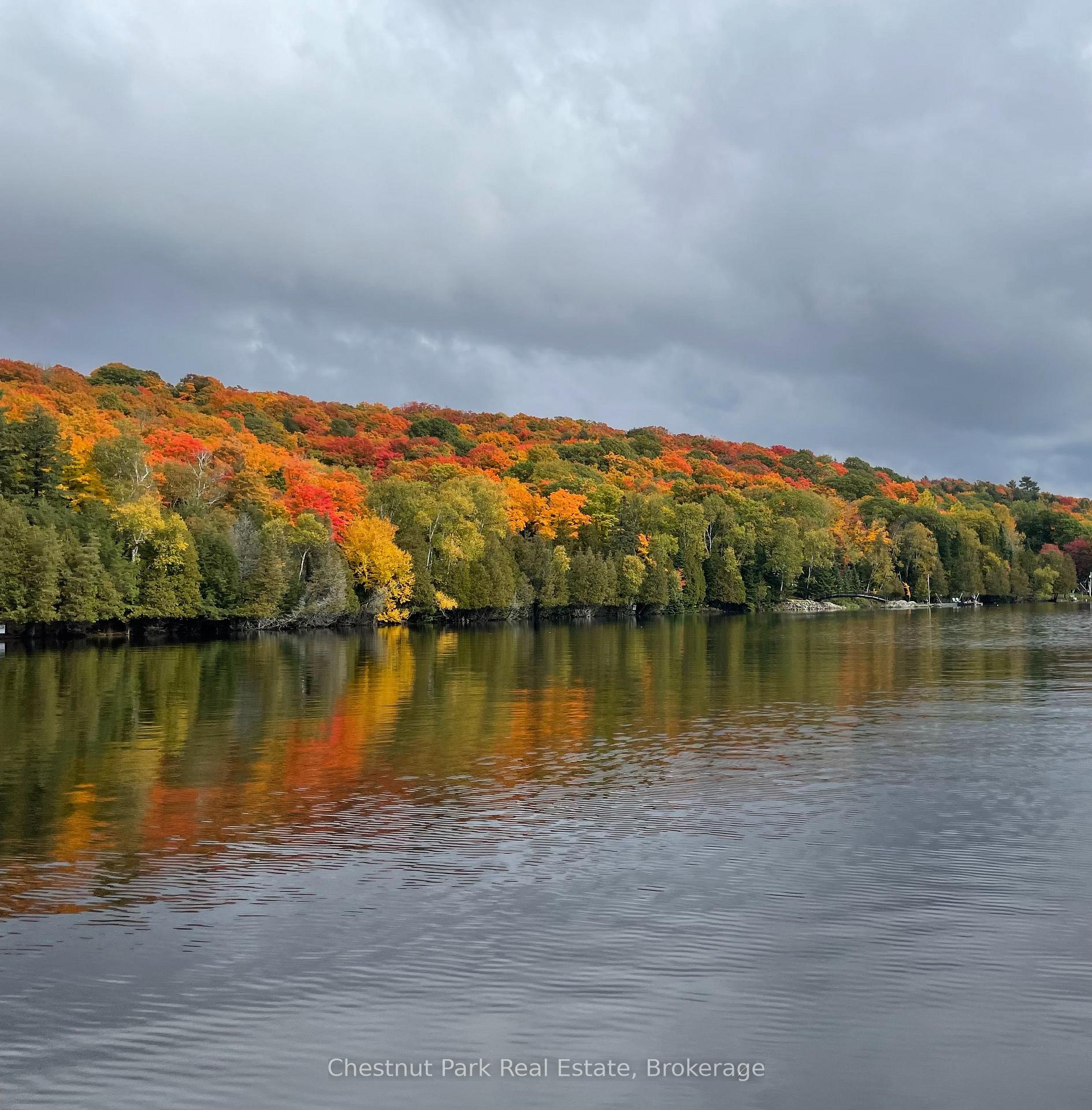Photo 40 of 276 Wurm Road, Magnetawan — HOMEH