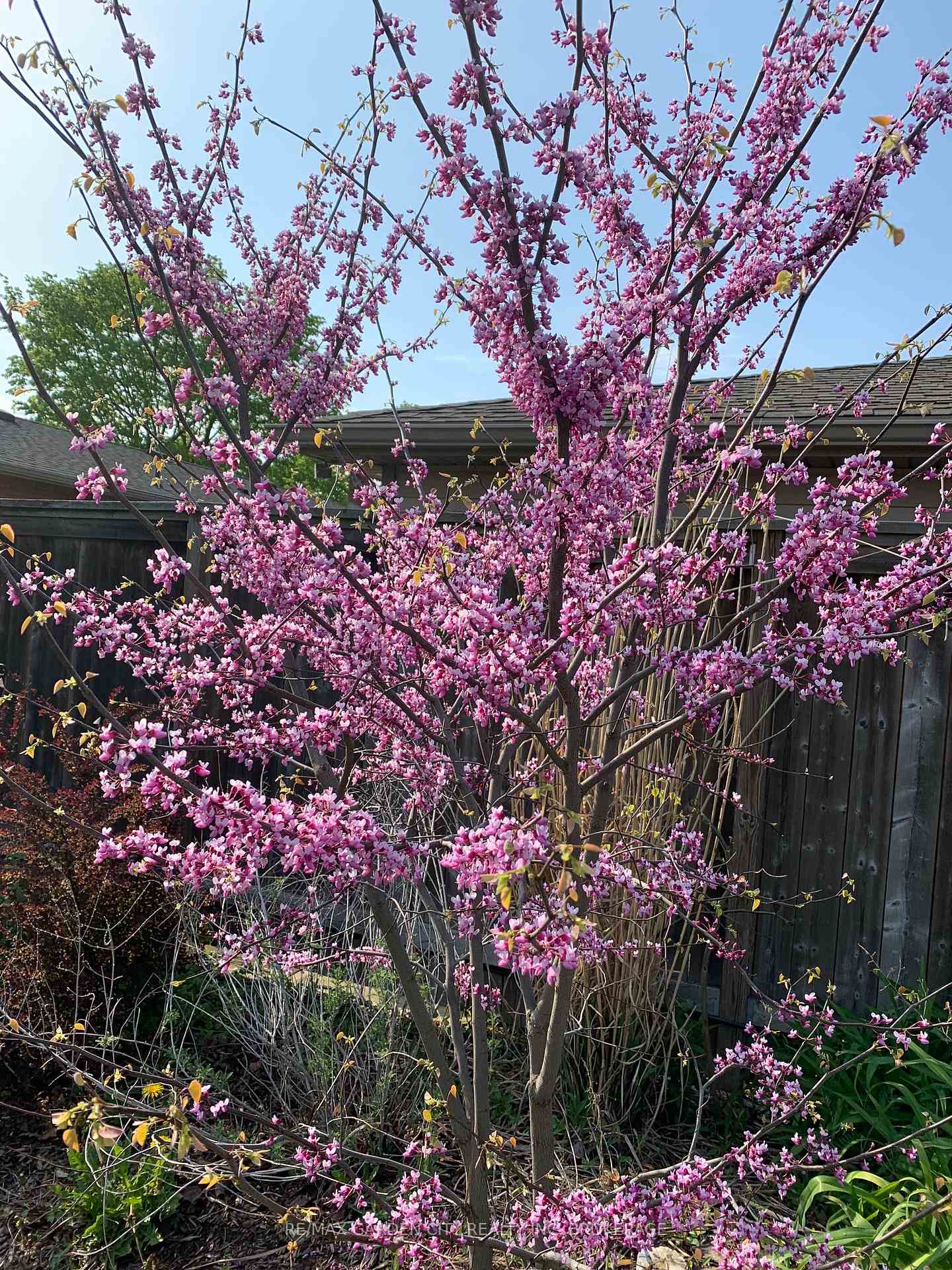 Photo 32 of 30 St. Lawrence Drive, St. Catharines, Bunting/Linwell — HOMEH