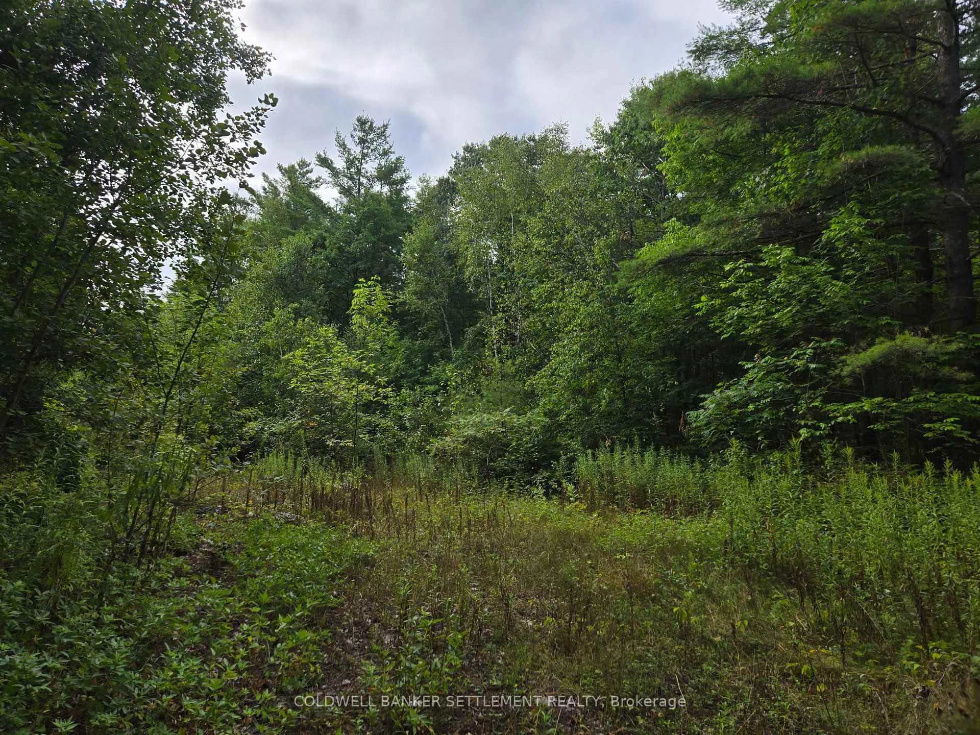 Front of 0 Second Depot Lake Road