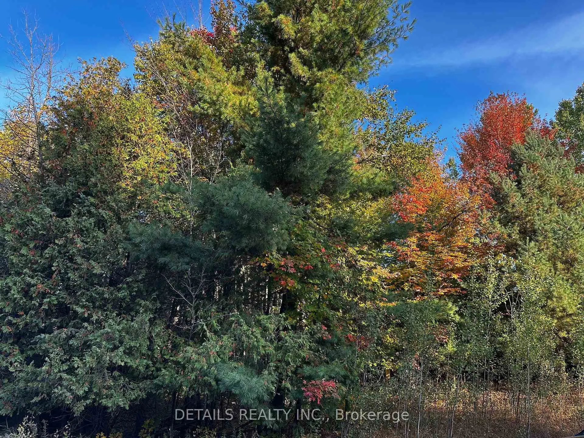 Photo 1 of 515 Vances side Road N, Ottawa, Dunrobin Shores — HOMEH