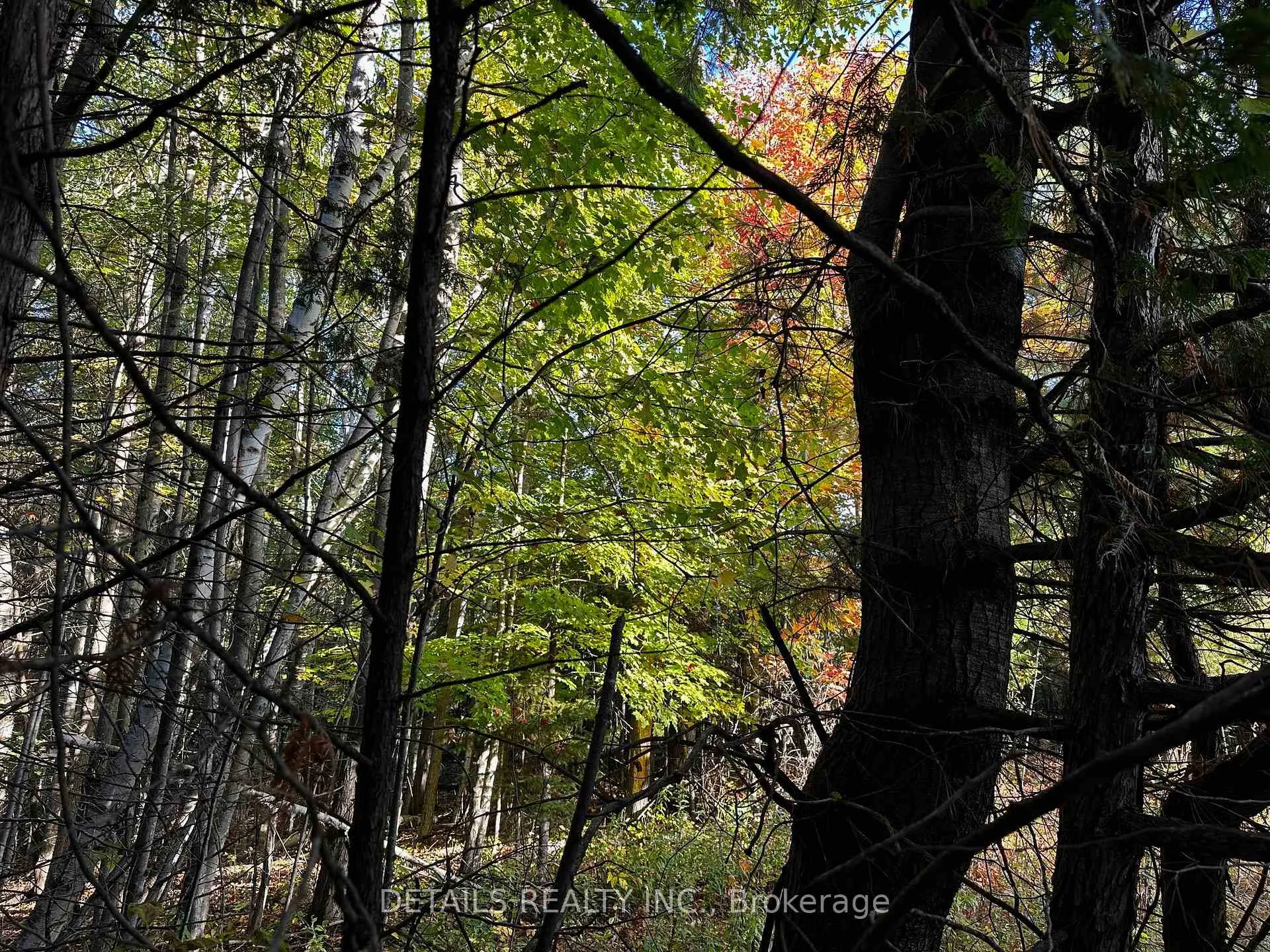 Photo 2 of 515 Vances side Road N, Ottawa, Dunrobin Shores — HOMEH