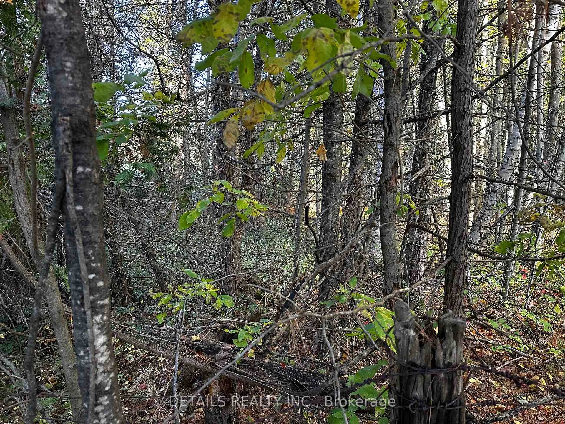 Photo 3 of 515 Vances side Road N, Ottawa, Dunrobin Shores — HOMEH