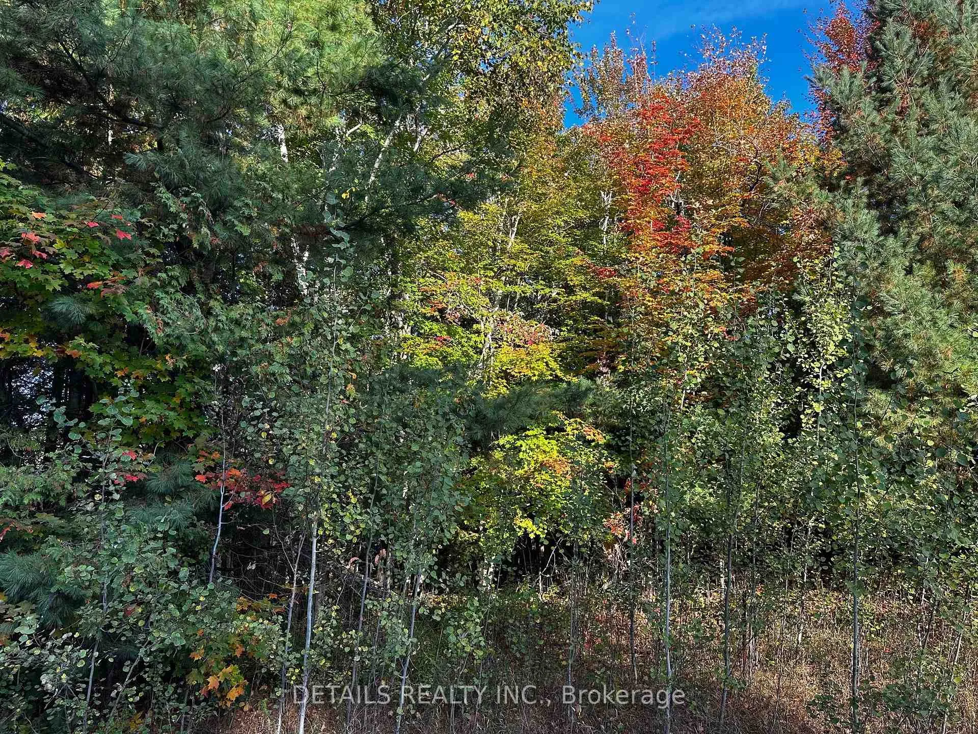 Photo 5 of 515 Vances side Road N, Ottawa, Dunrobin Shores — HOMEH