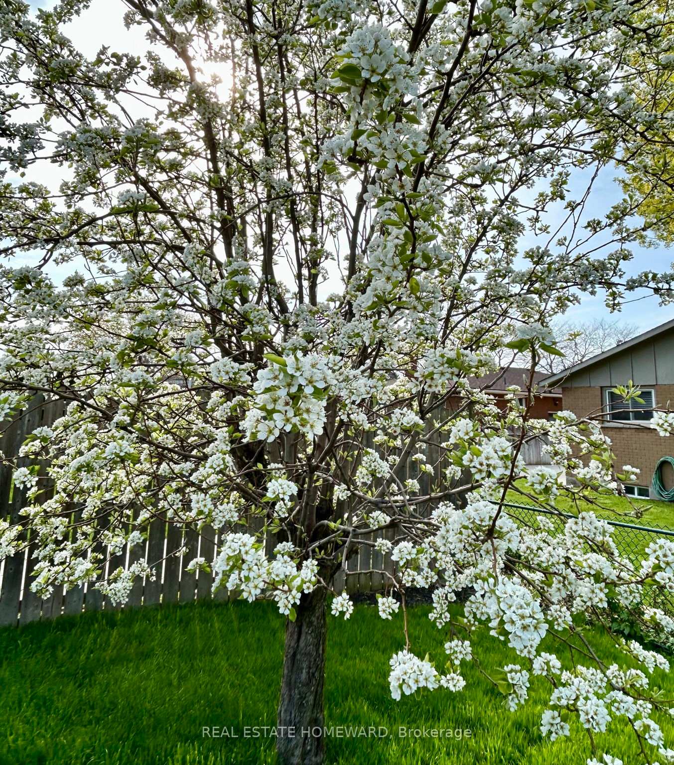 Photo 86 of 47 Densgrove Drive, St. Catharines, Vine/Linwell — HOMEH