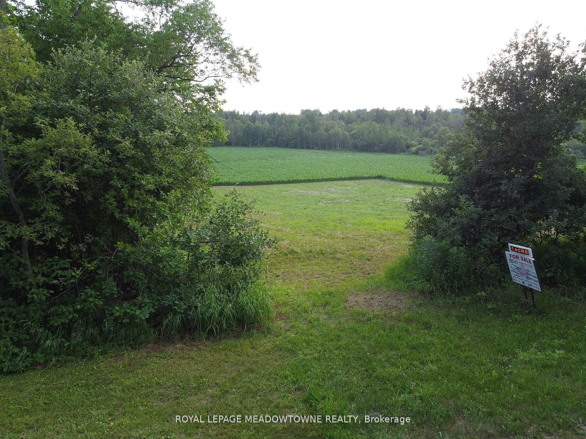 Photo 5 of 5258 Third Line, Erin, Rural Erin — HOMEH