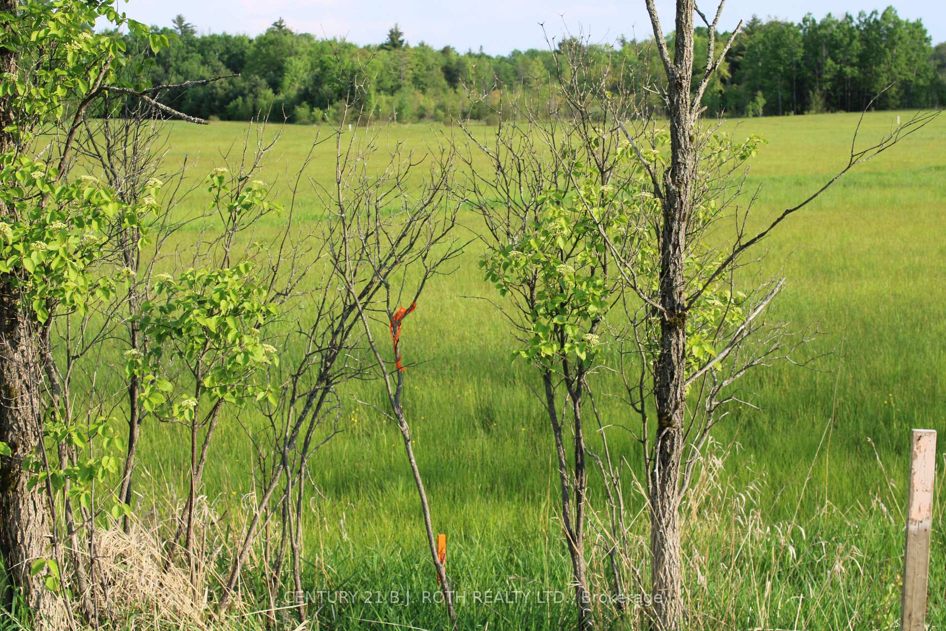 Front of Unit LOT 2, 1521 Kilworthy Road