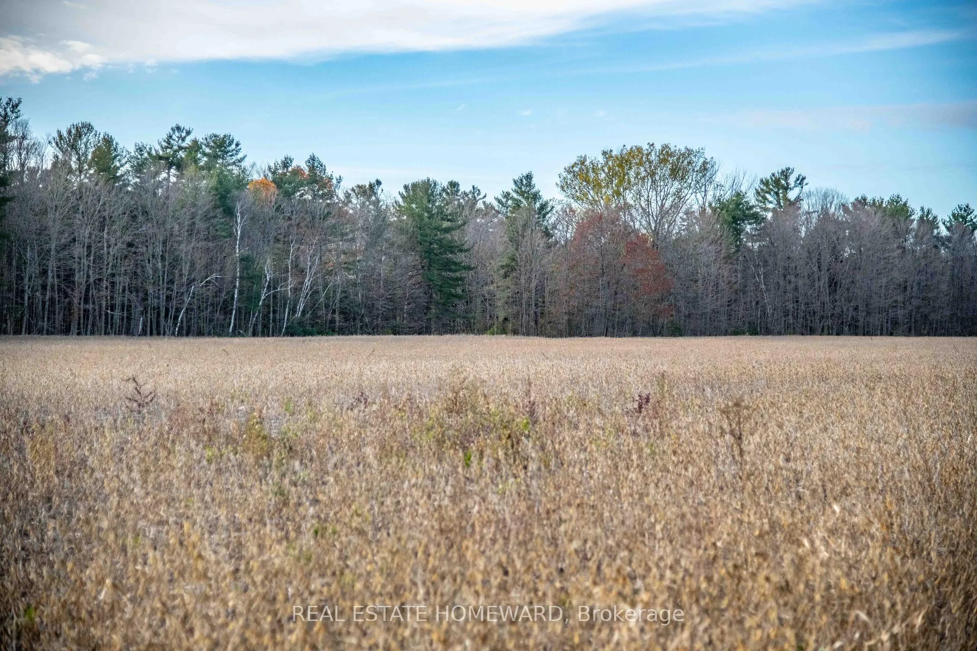 Photo 2 of 4856 Cold Springs Camp Road, Clarington, Rural Clarington — HOMEH