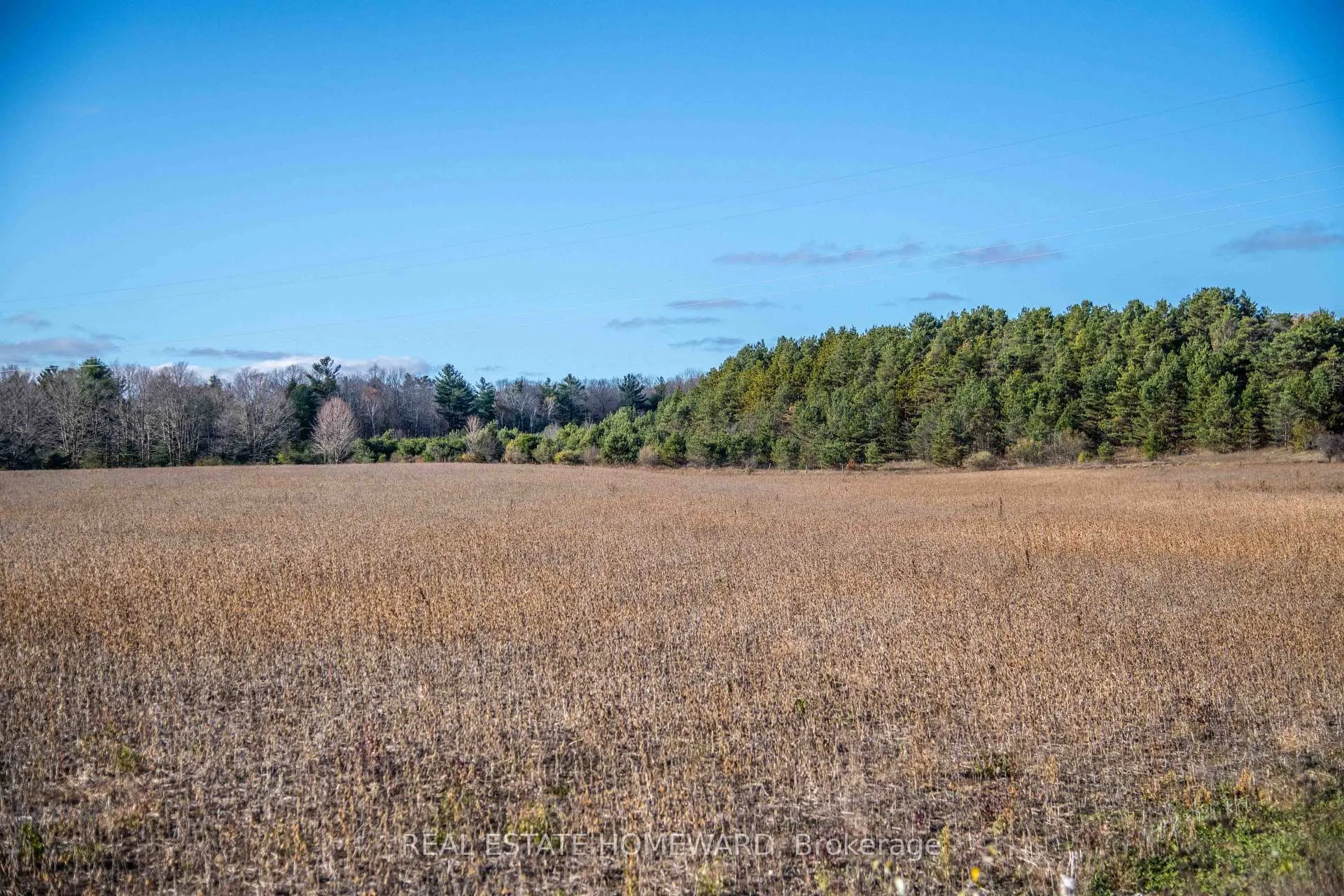 Photo 6 of 4856 Cold Springs Camp Road, Clarington, Rural Clarington — HOMEH