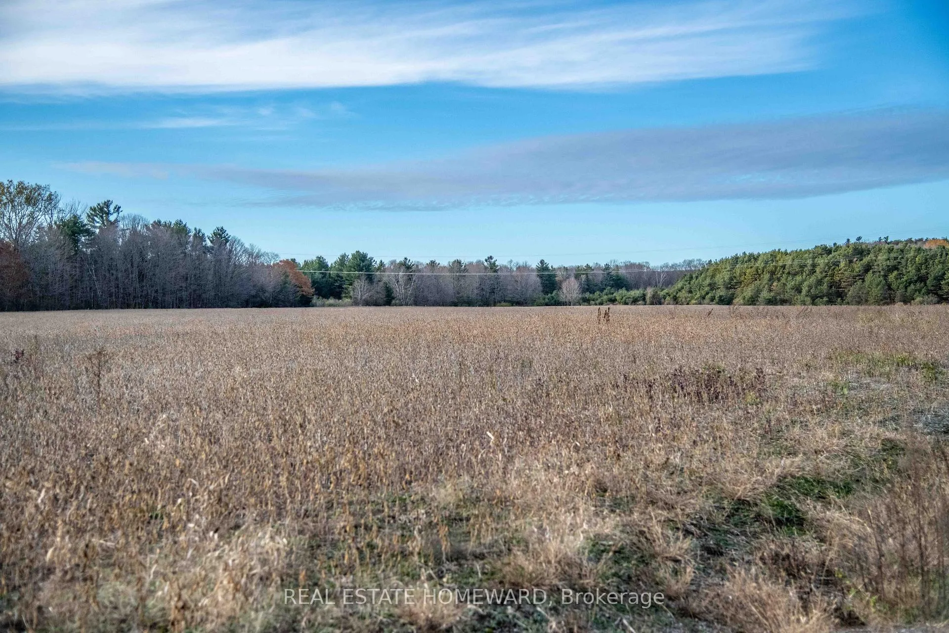 Photo 7 of 4856 Cold Springs Camp Road, Clarington, Rural Clarington — HOMEH