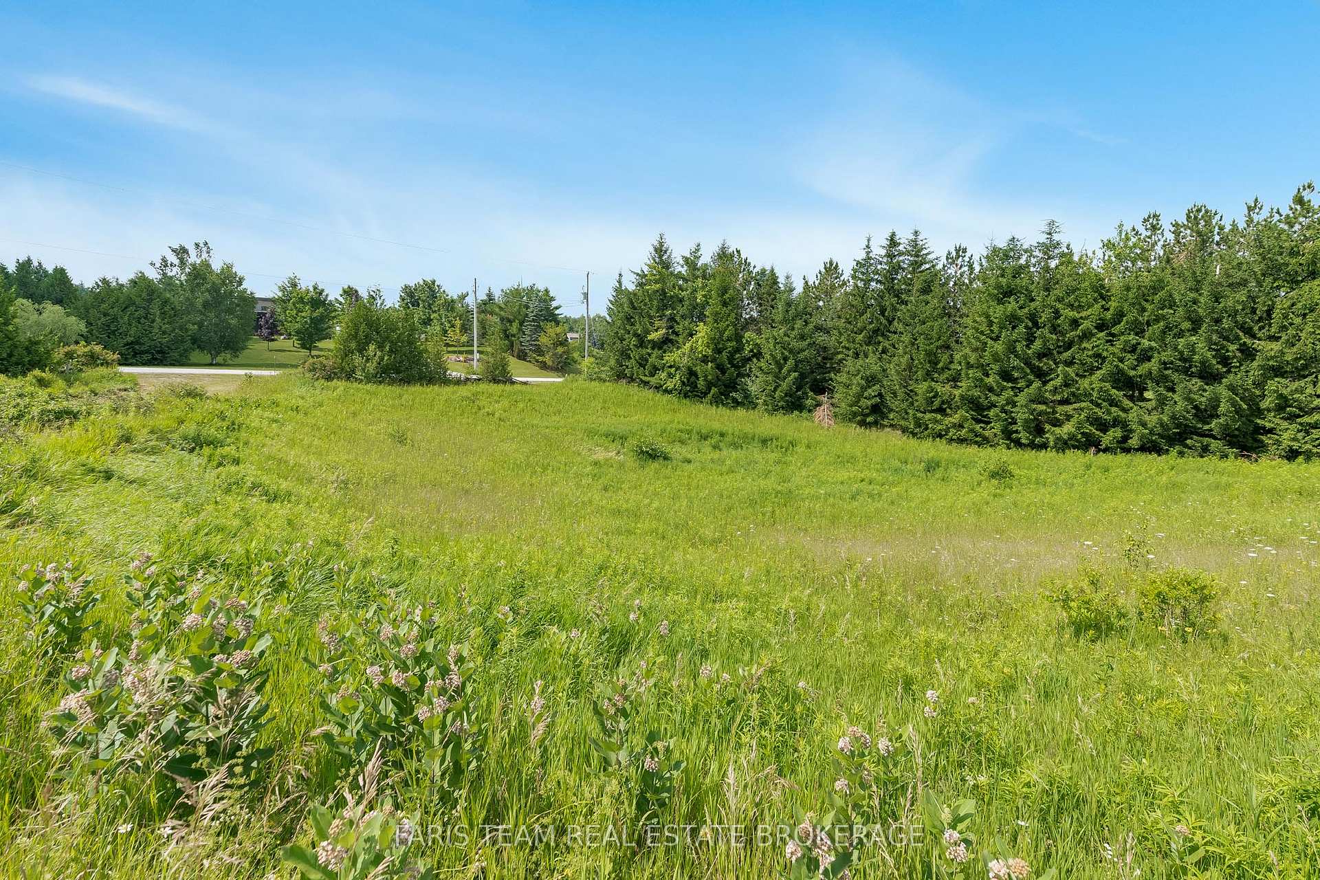 Photo 7 of 115 Brewster Lake Road, Clearview, Singhampton — HOMEH