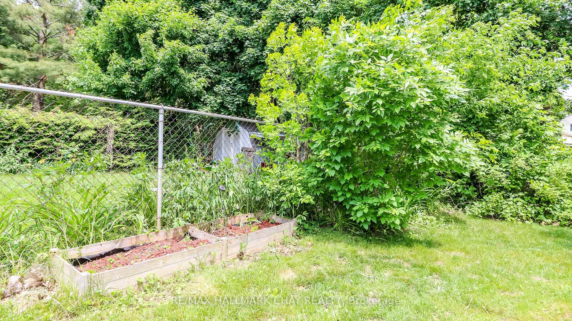 Photo 16 of 21 Scott Crescent, Barrie, Letitia Heights — HOMEH