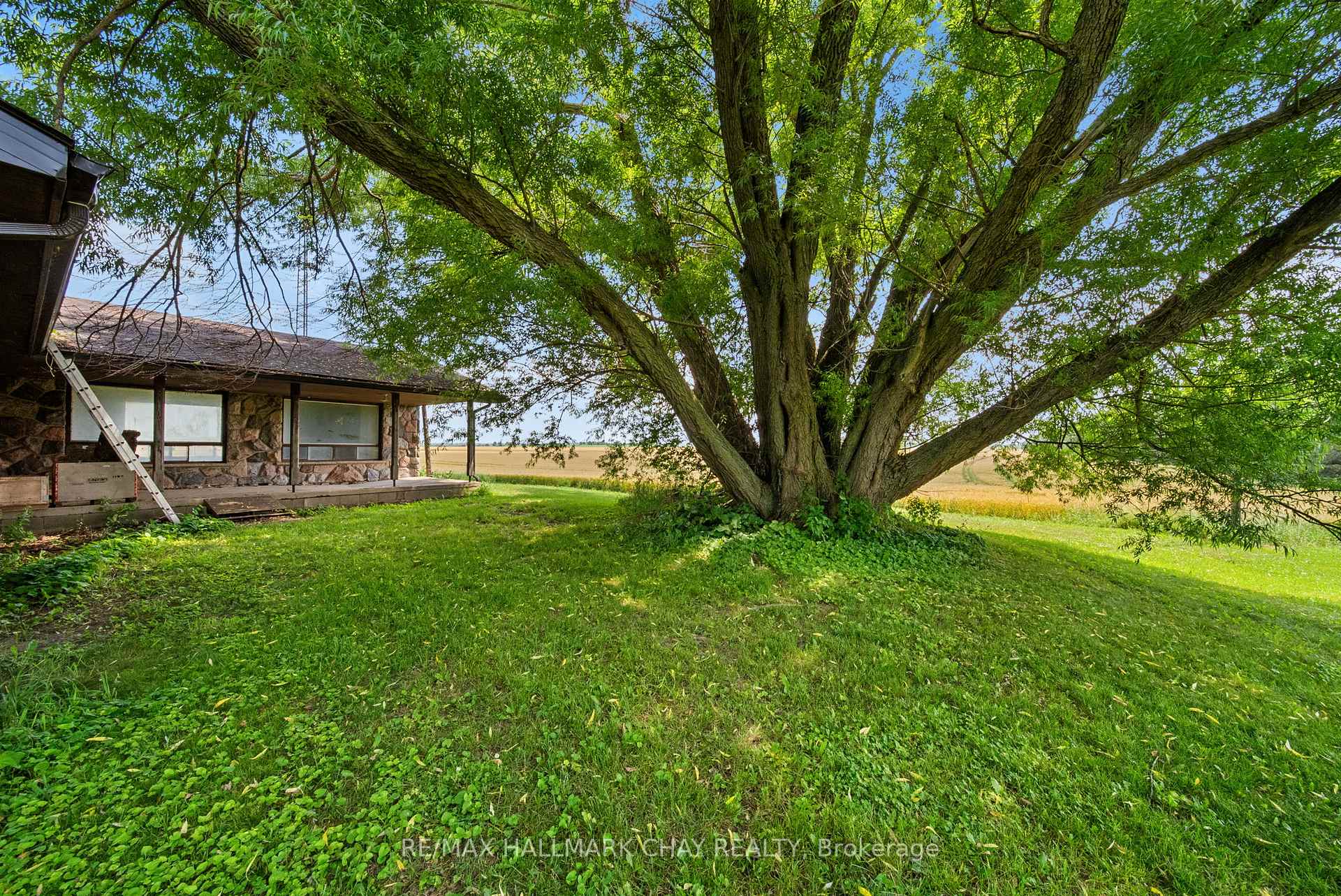 Photo 4 of 2247 15/16 Sdrd S Sunn, Clearview, Rural Clearview — HOMEH