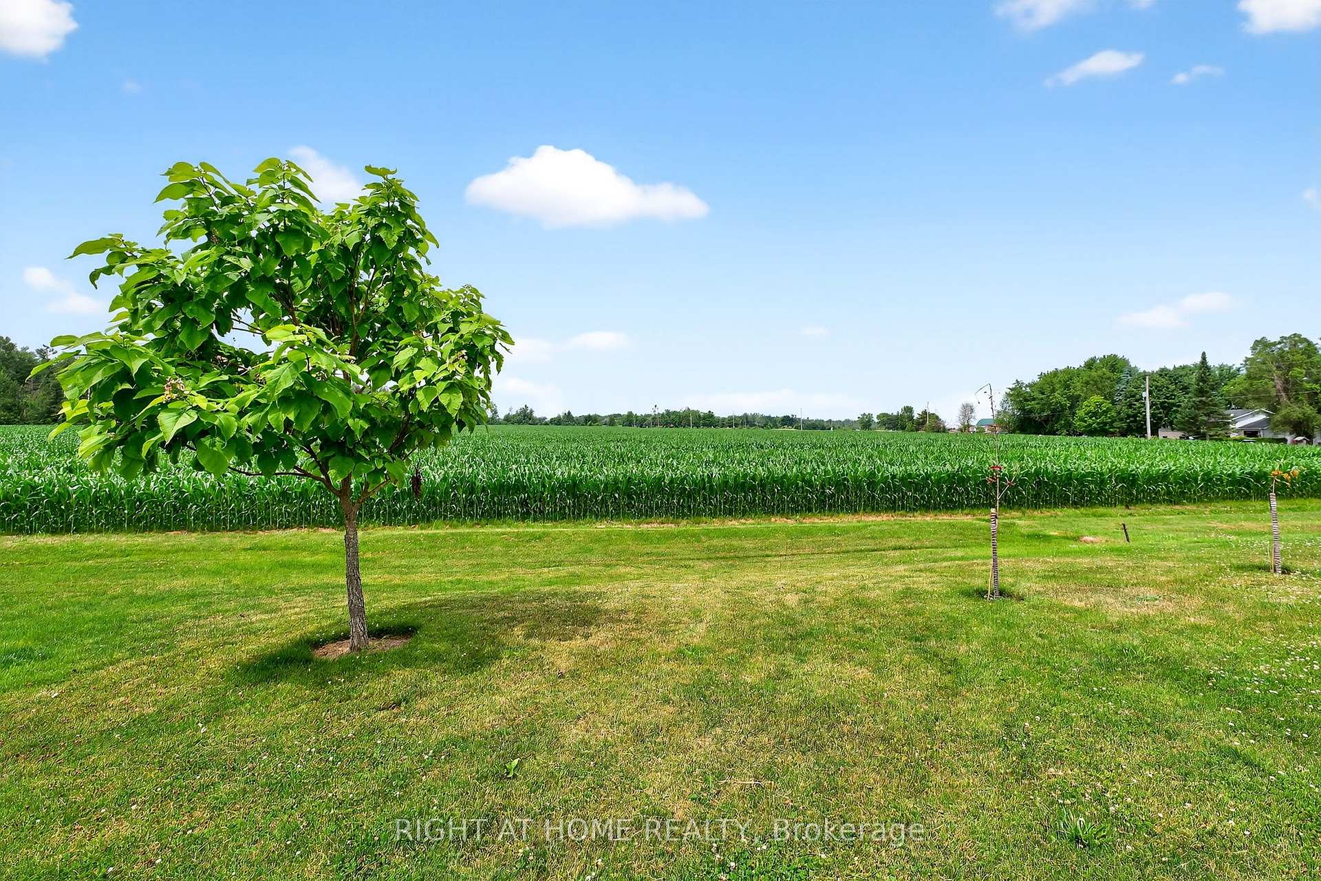 Photo 47 of 164 Switzer Street, Clearview, New Lowell — HOMEH