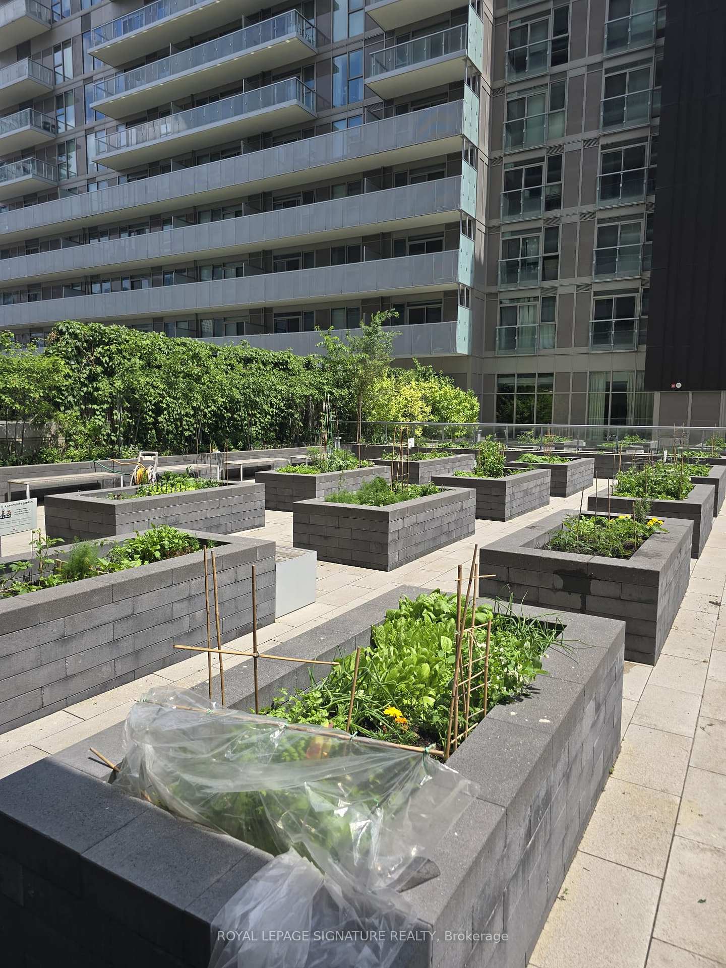Photo 45 of Unit 402, 20 Richardson Street, Toronto, Waterfront Communities — HOMEH