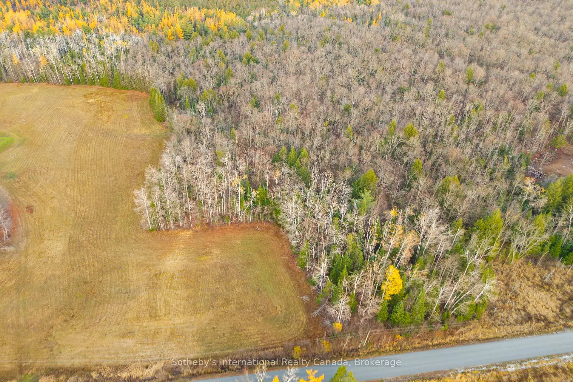 Photo 6 of Barkway Road, Gravenhurst, Ryde — HOMEH