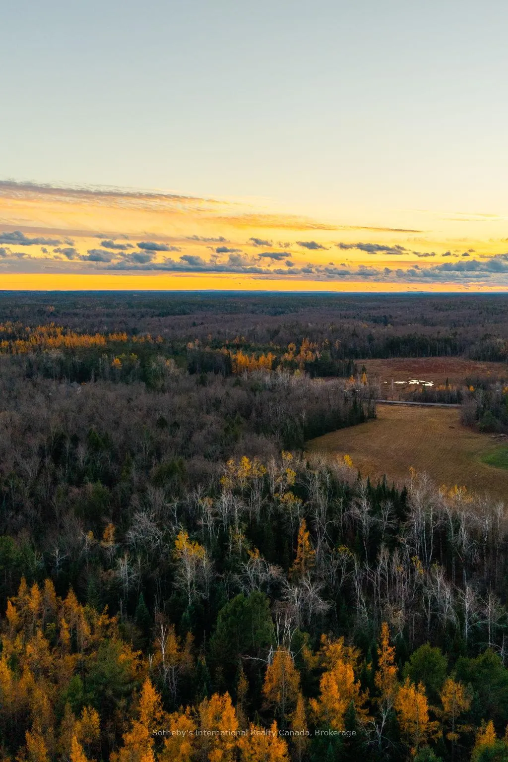 Photo 15 of Barkway Road, Gravenhurst, Ryde — HOMEH