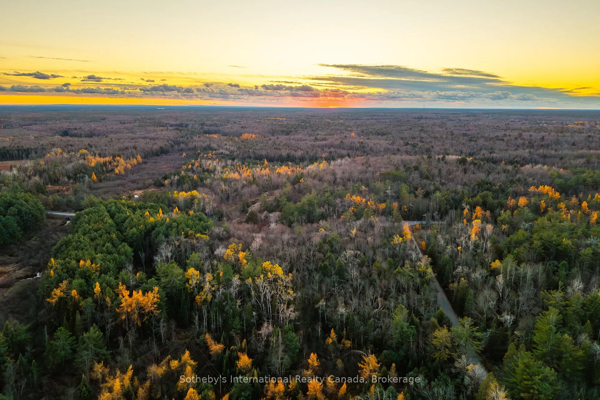 Photo 10 of 00 Barkway Road, Gravenhurst, Ryde — HOMEH