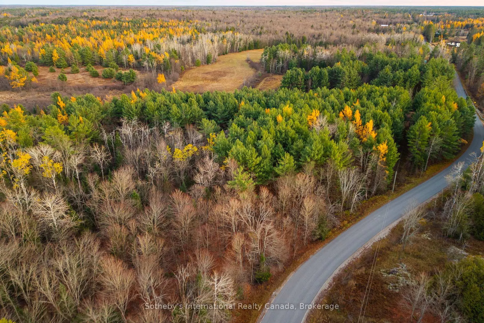 Photo 13 of 00 Barkway Road, Gravenhurst, Ryde — HOMEH