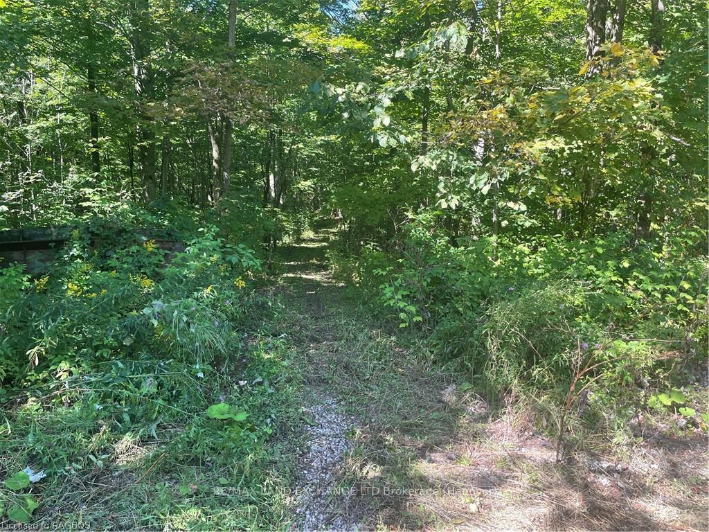 Photo 4 of E1/2 LT 9 Concession 8, Chatsworth — HOMEH