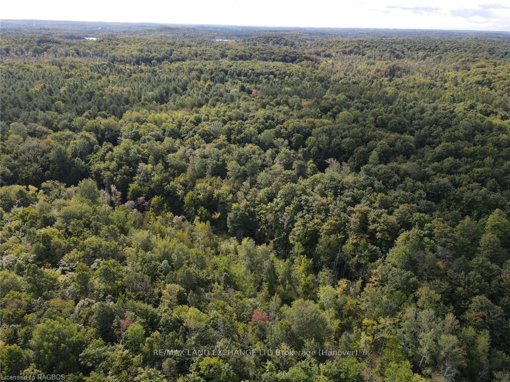 Photo 9 of E1/2 LT 9 Concession 8, Chatsworth — HOMEH