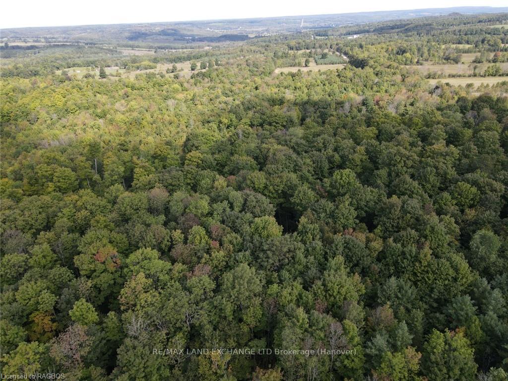 Photo 12 of E1/2 LT 9 Concession 8, Chatsworth — HOMEH