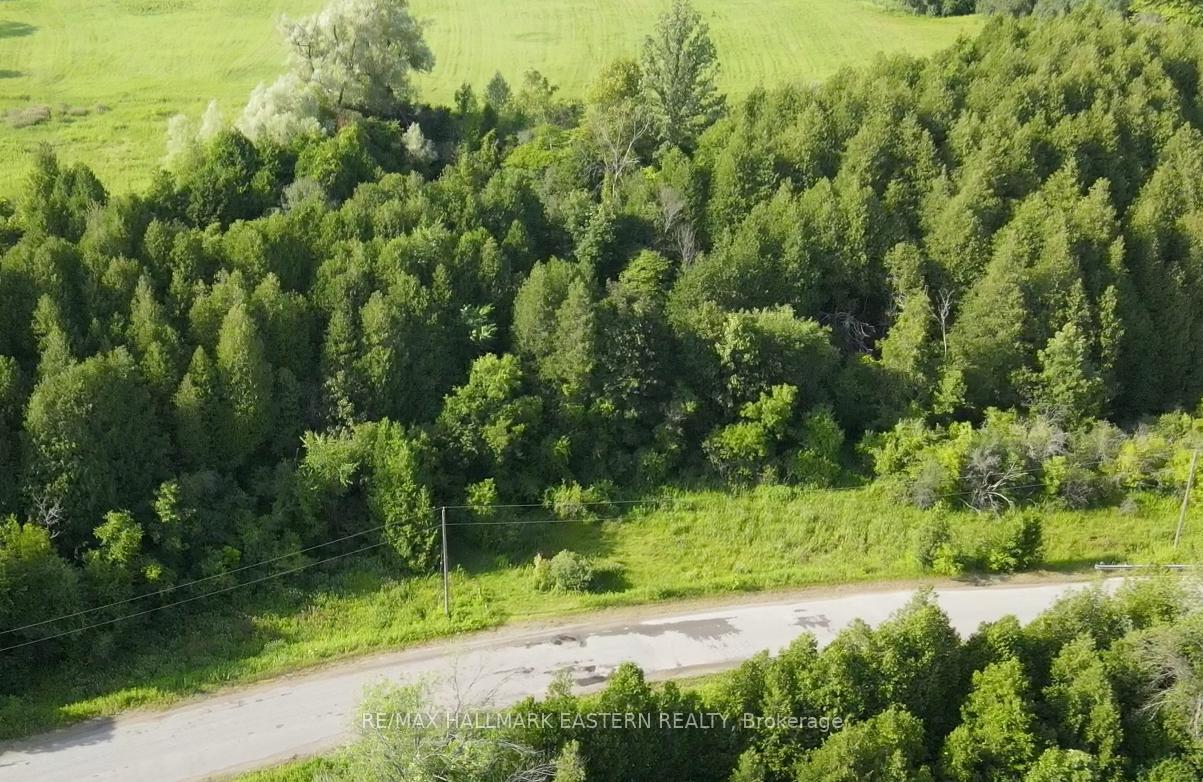 Photo 5 of 732 Zion 4th Line, Cavan Monaghan, Cavan Twp — HOMEH