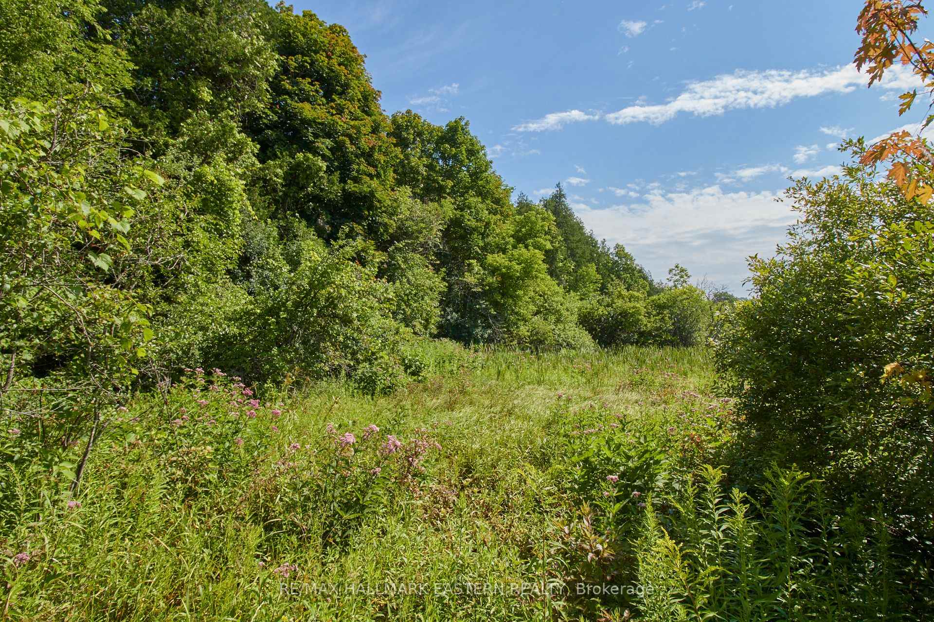 Photo 6 of 732 Zion 4th Line, Cavan Monaghan, Cavan Twp — HOMEH