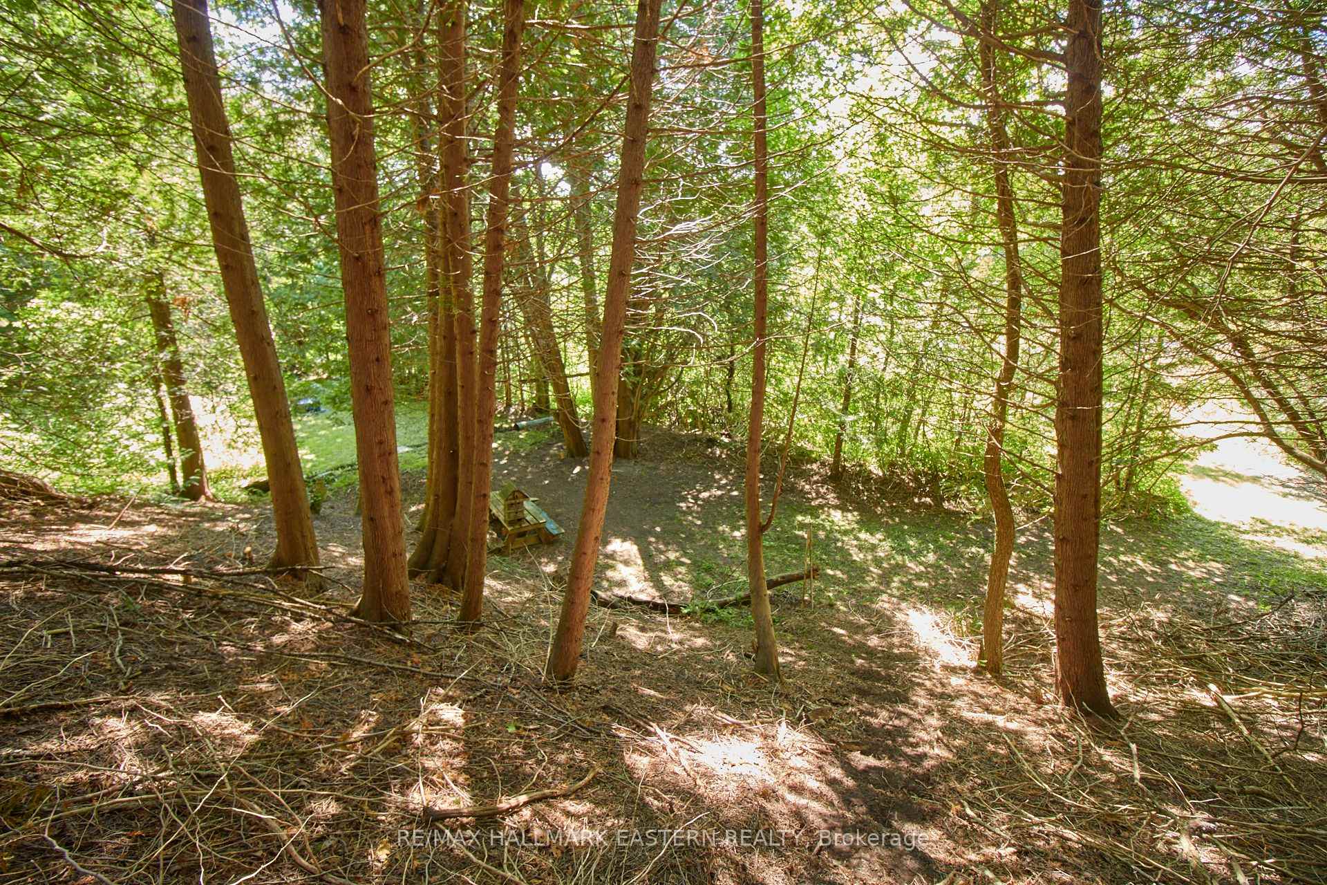Photo 14 of 732 Zion 4th Line, Cavan Monaghan, Cavan Twp — HOMEH