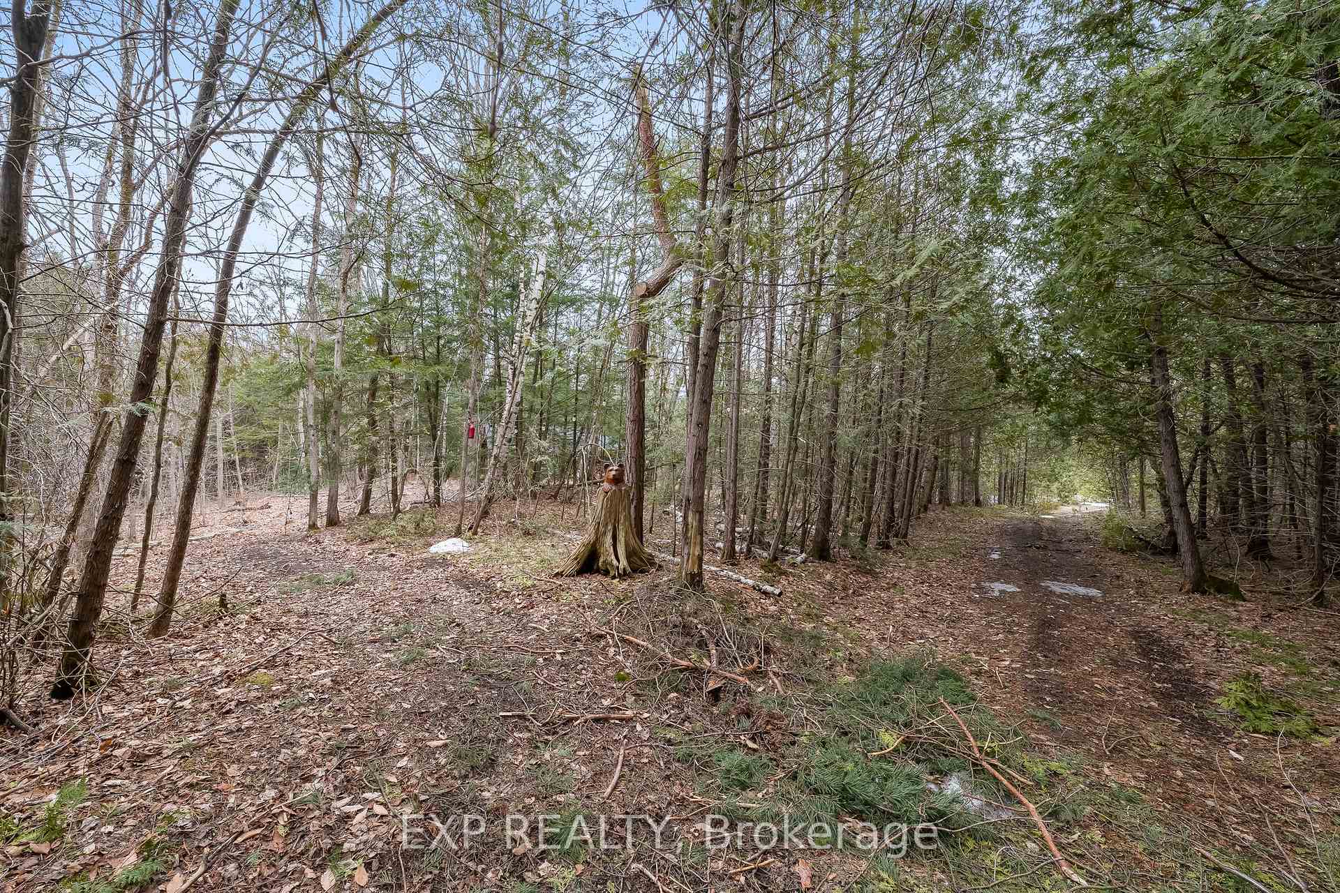 Photo 41 of 667 Ford Crescent, Cavan Monaghan, Cavan Twp — HOMEH