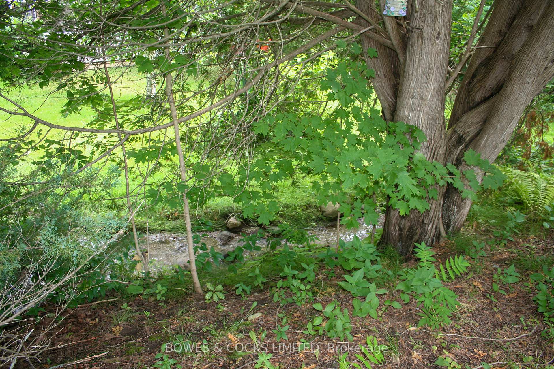 Photo 10 of 10 Huston Street, Cavan Monaghan, Millbrook Village — HOMEH