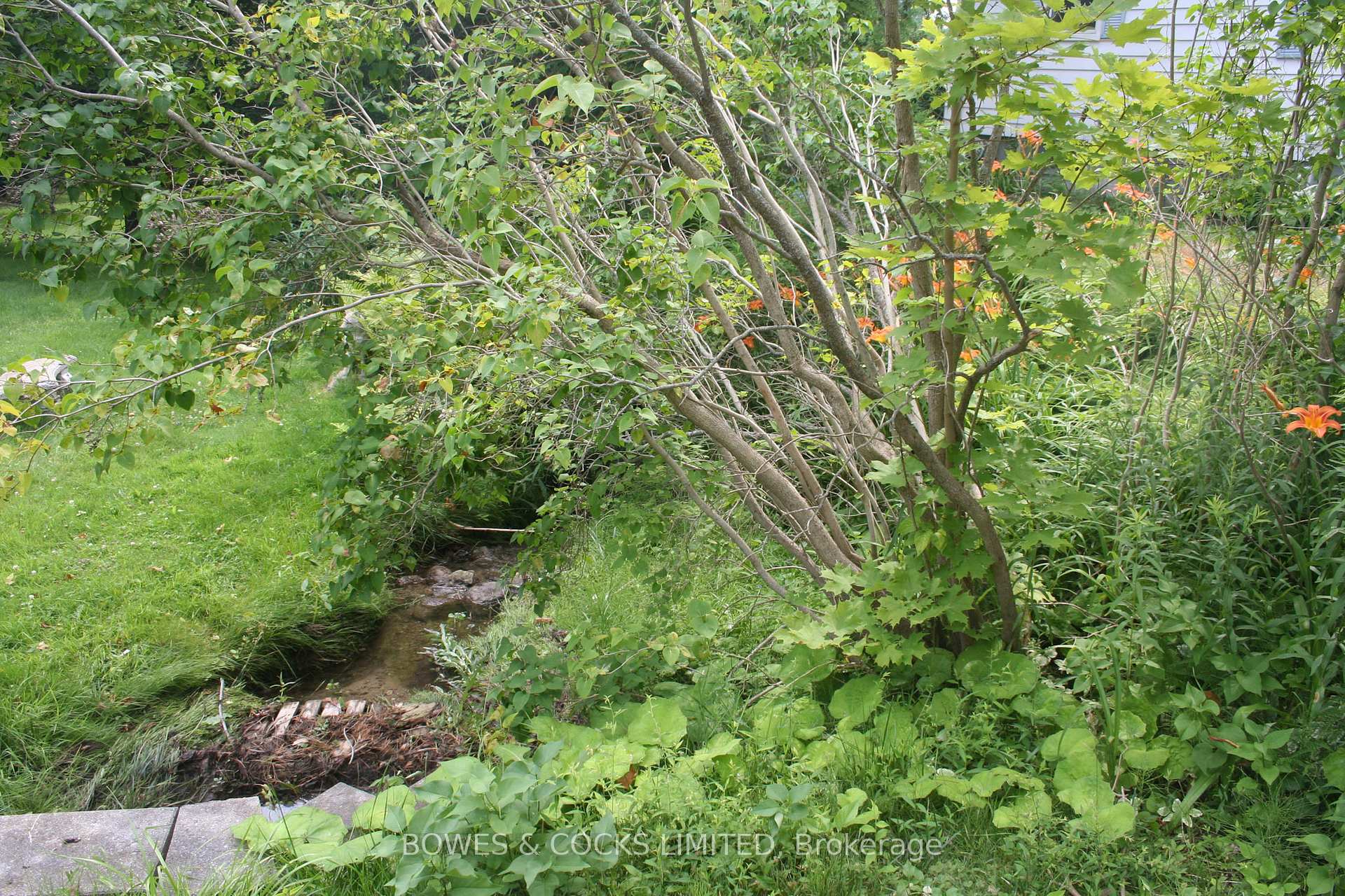 Photo 11 of 10 Huston Street, Cavan Monaghan, Millbrook Village — HOMEH