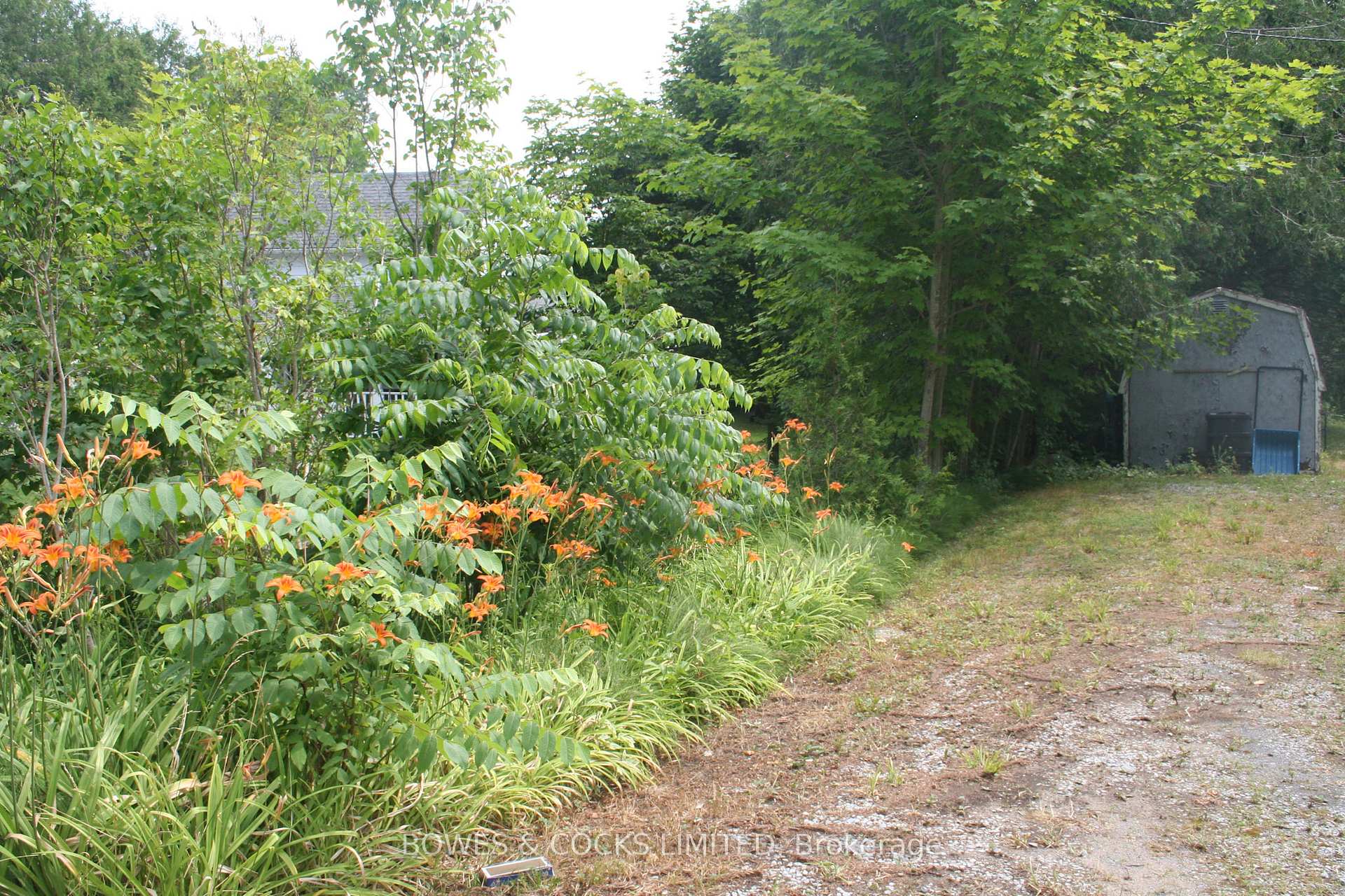 Photo 12 of 10 Huston Street, Cavan Monaghan, Millbrook Village — HOMEH