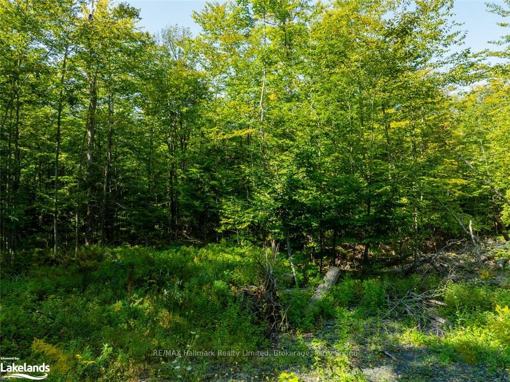 Photo 3 of 18 Burnside Bridge Road, McDougall — HOMEH