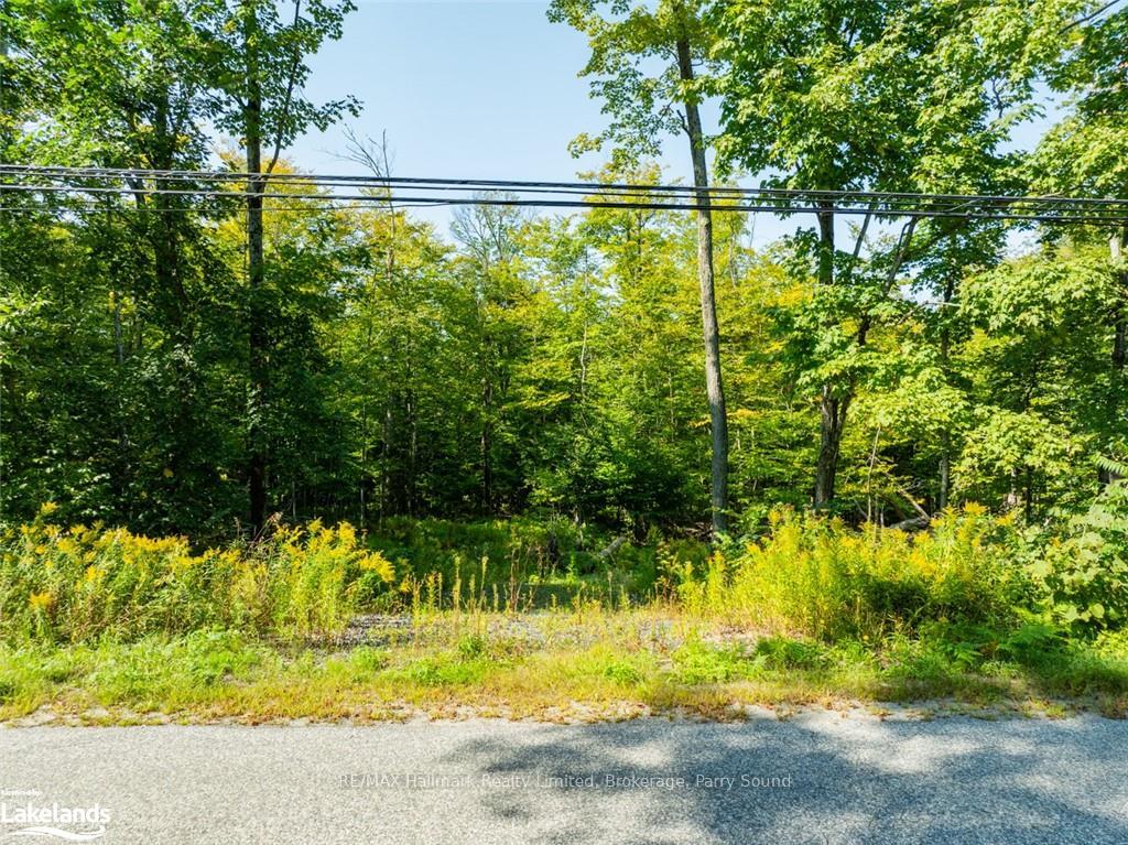 Photo 15 of 18 Burnside Bridge Road, McDougall — HOMEH