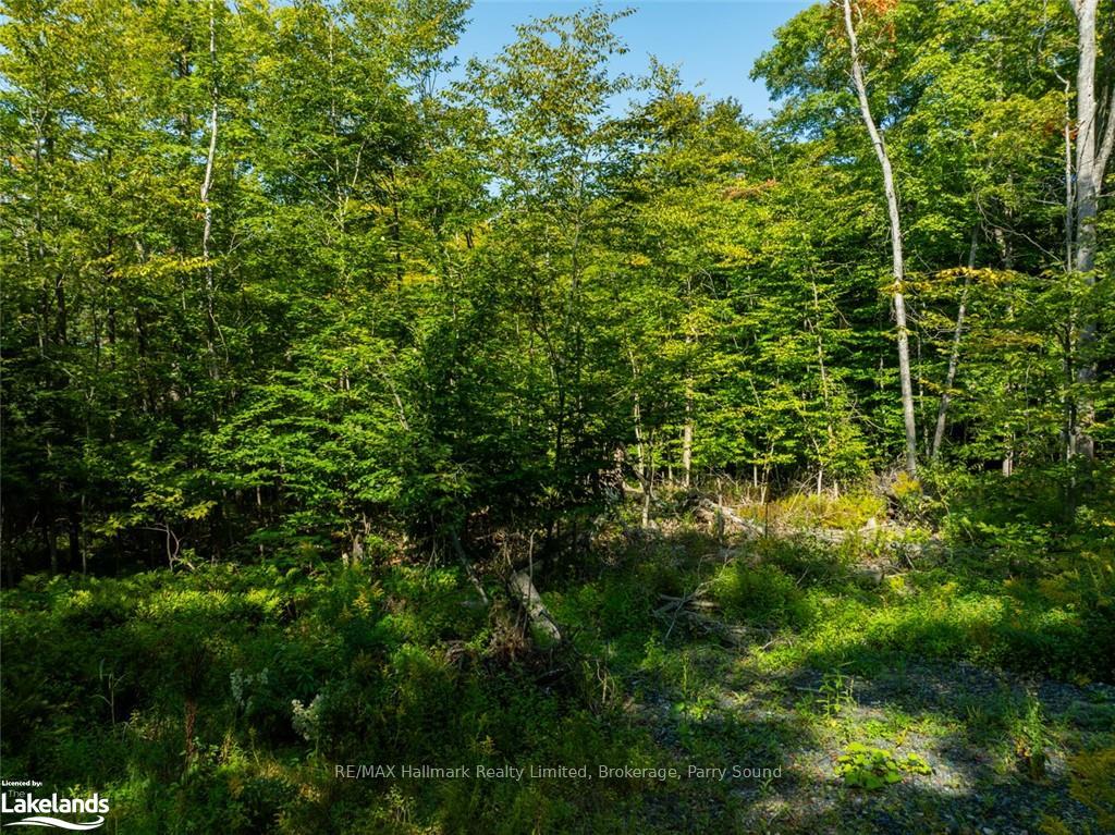 Photo 18 of 18 Burnside Bridge Road, McDougall — HOMEH