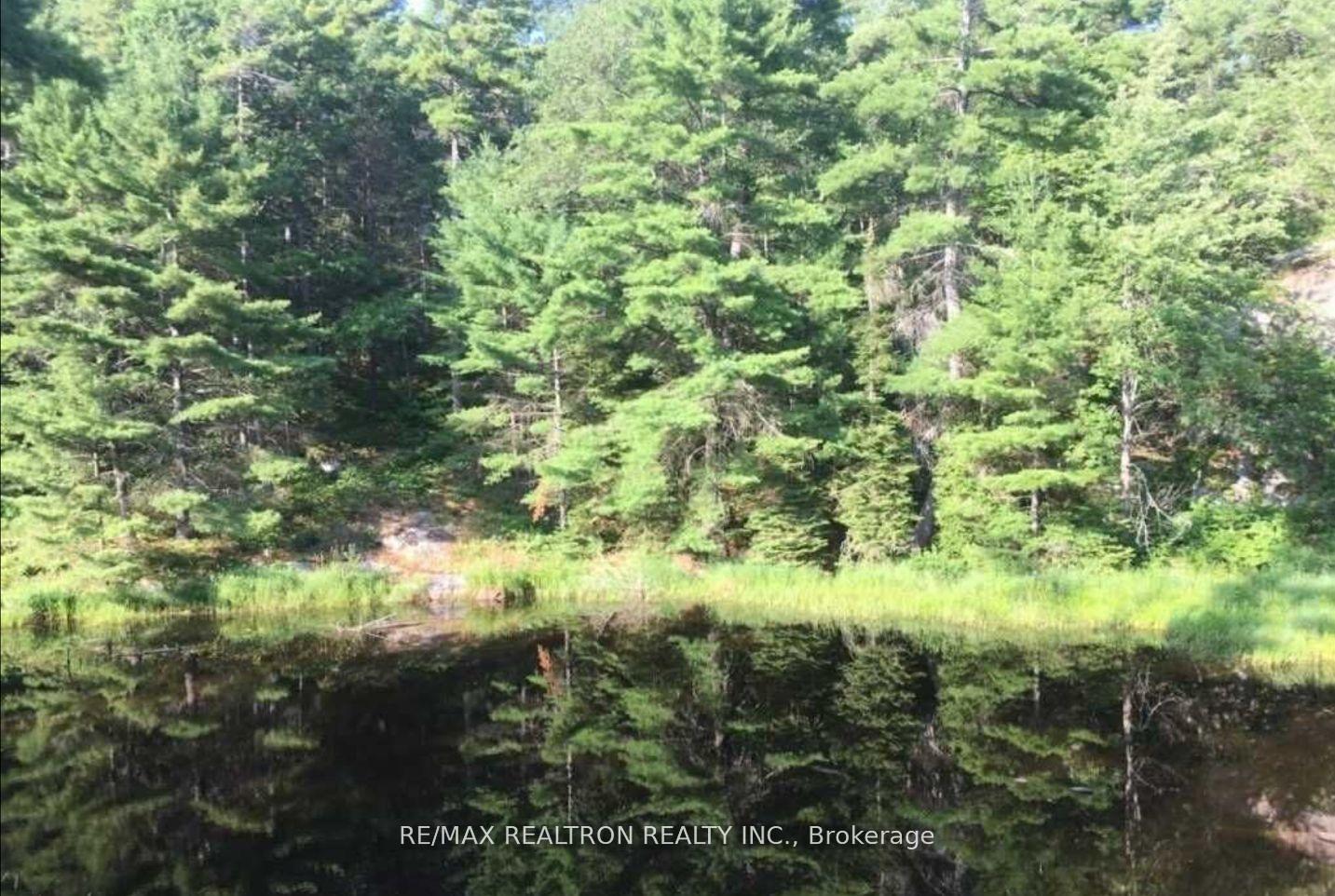 Photo 4 of 5331 Silver Lake Road, Gravenhurst, Muskoka (S) — HOMEH